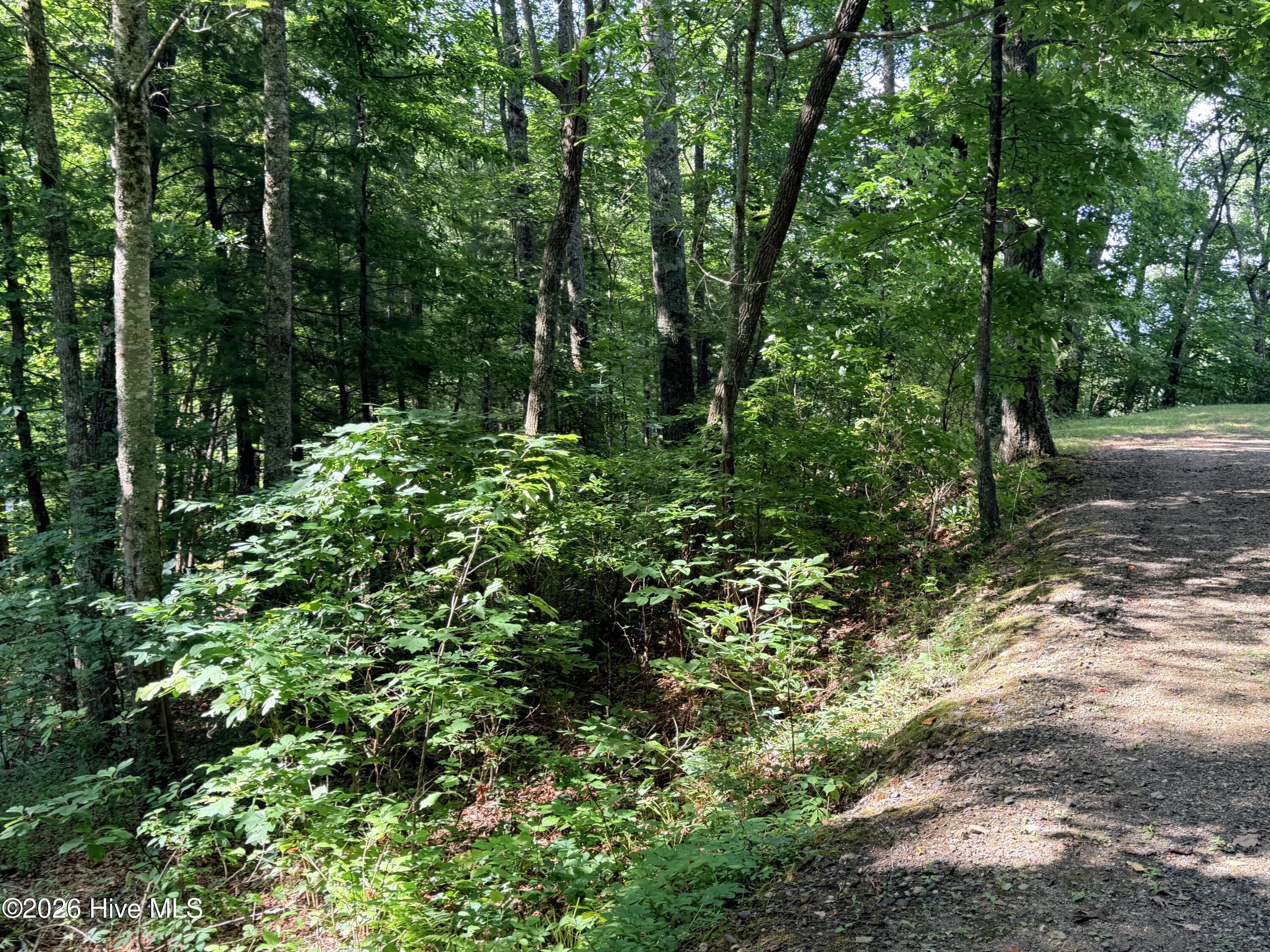 Lot 7 Mystic Ridge Way W Property Photo 10