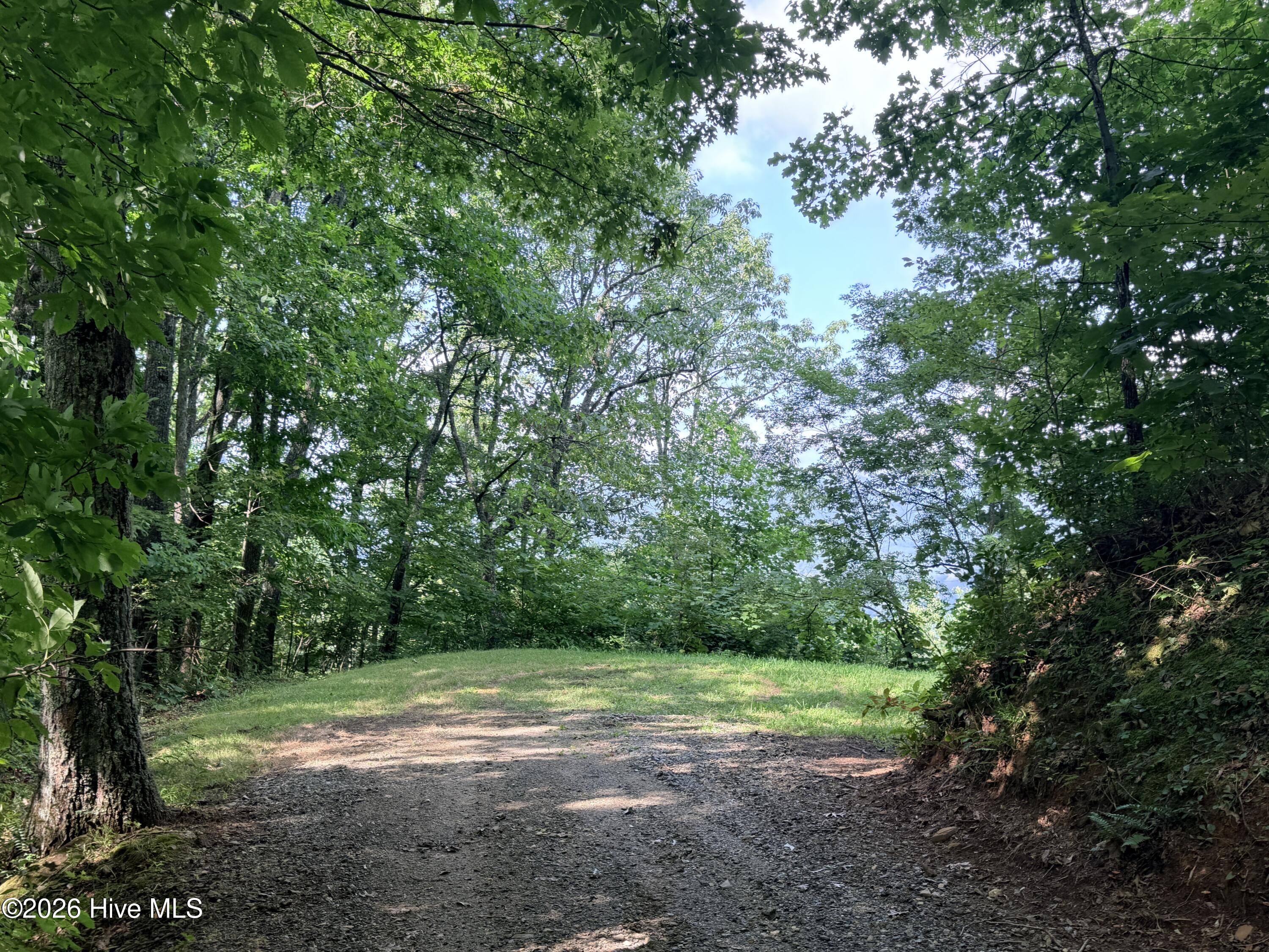 Lot 7 Mystic Ridge Way W Property Photo 11