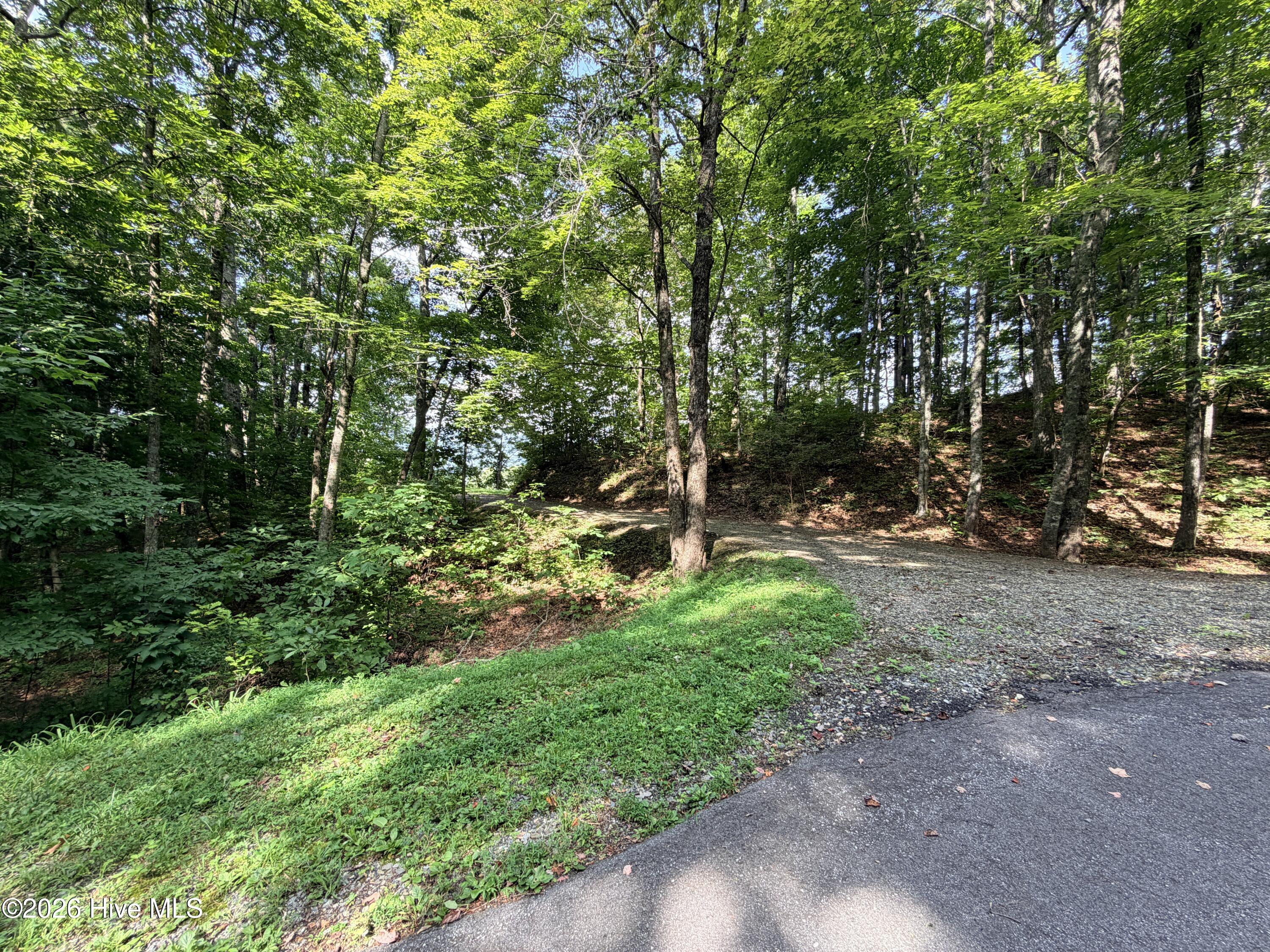 Lot 7 Mystic Ridge Way W Property Photo 12