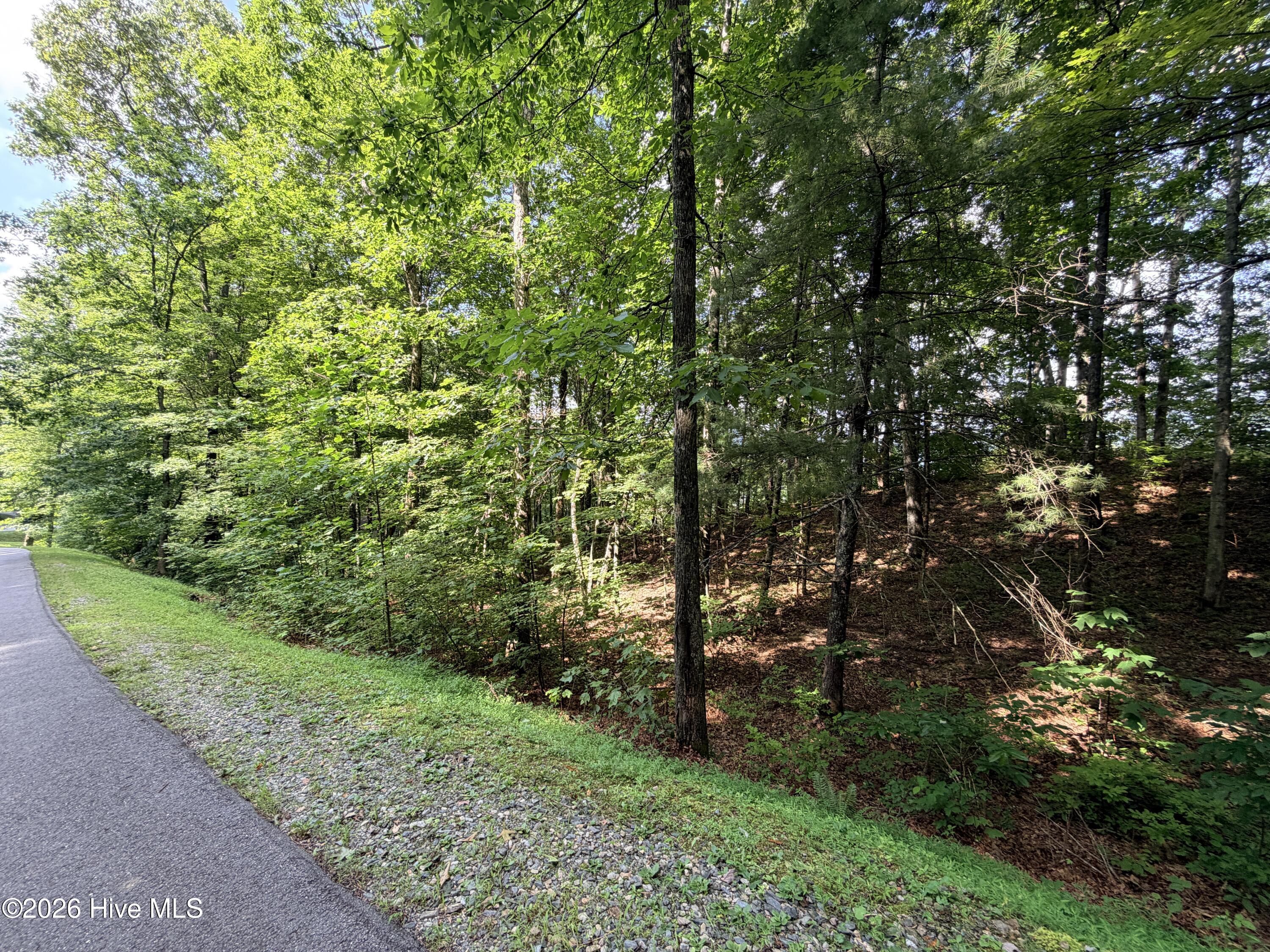 Lot 7 Mystic Ridge Way W Property Photo 13