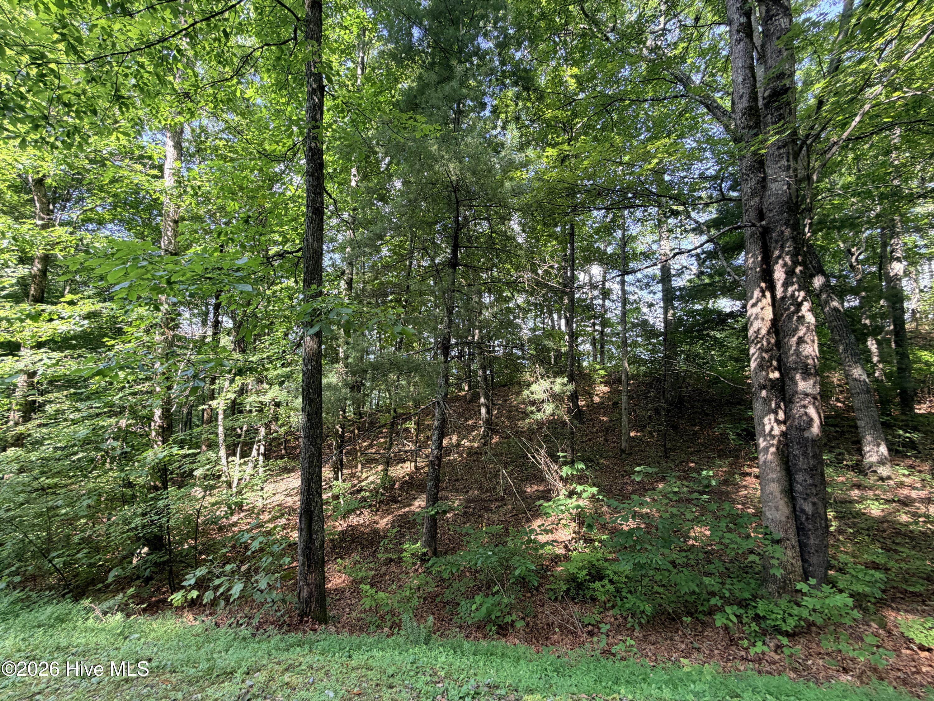 Lot 7 Mystic Ridge Way W Property Photo 14