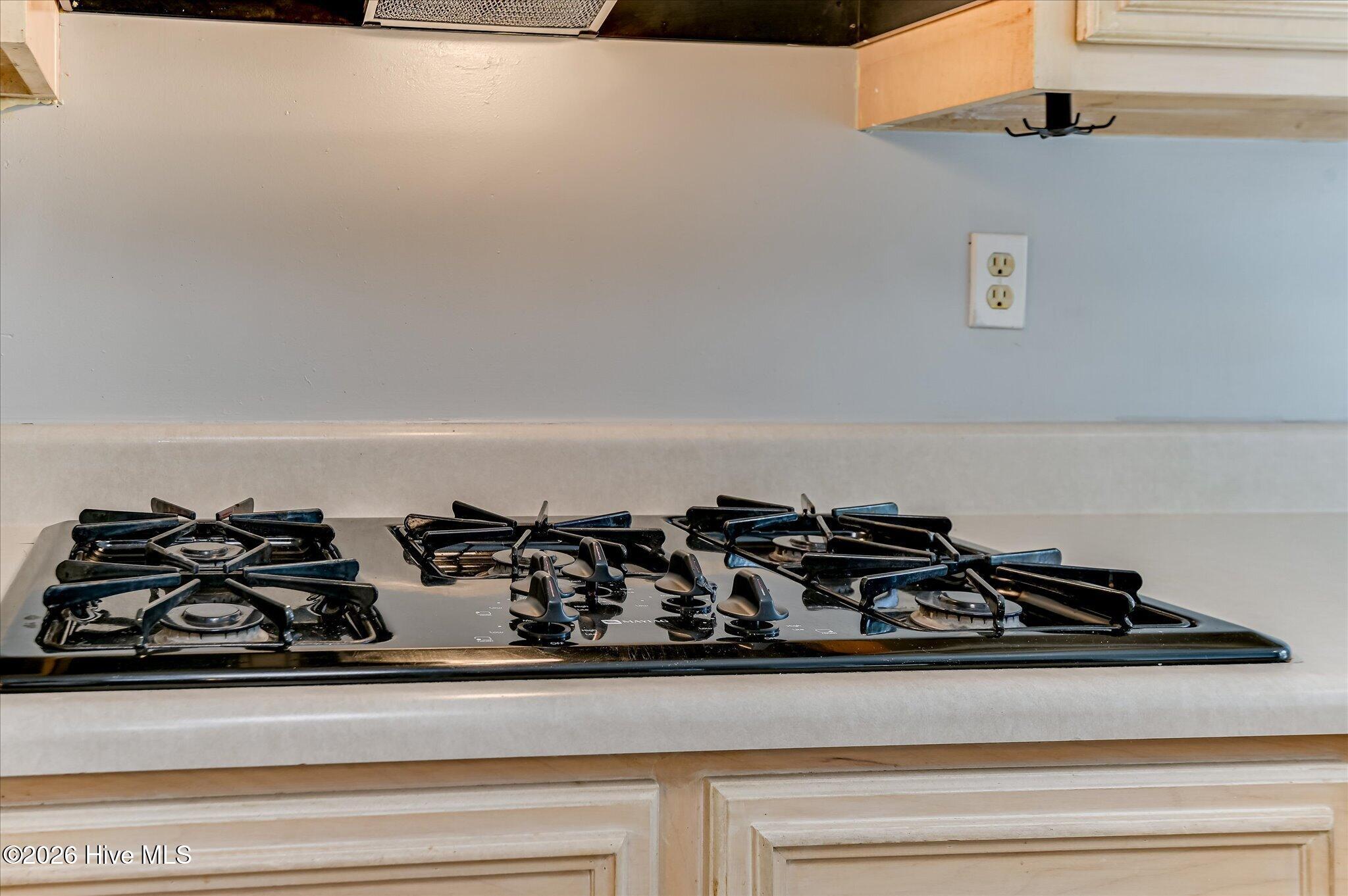 599 Blue Ridge Crossing Property Photo 27