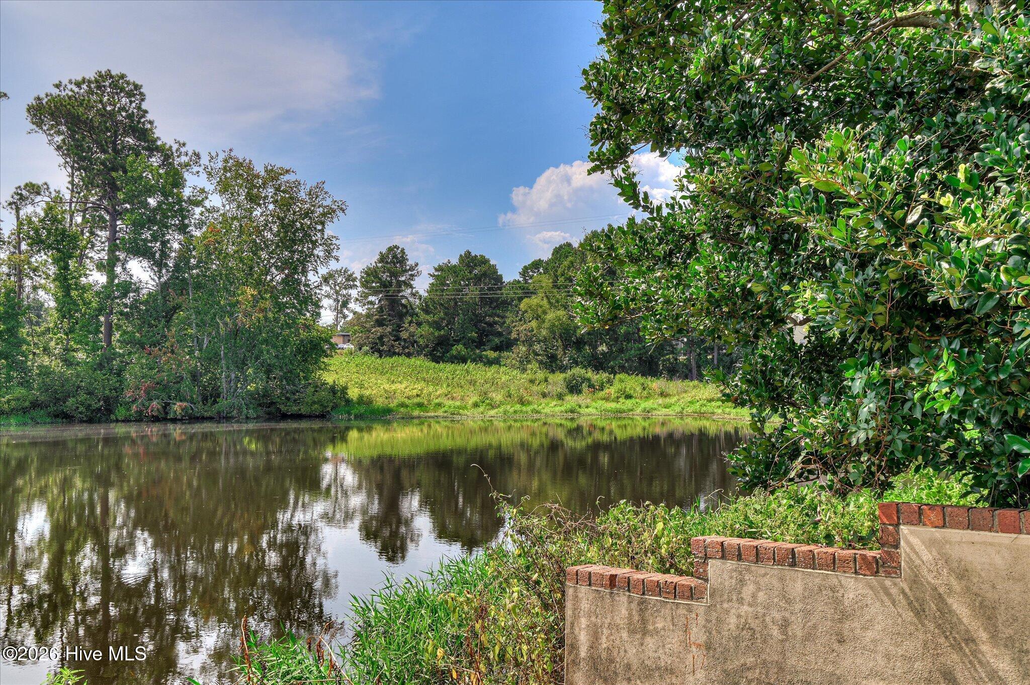 599 Blue Ridge Crossing Property Photo 56