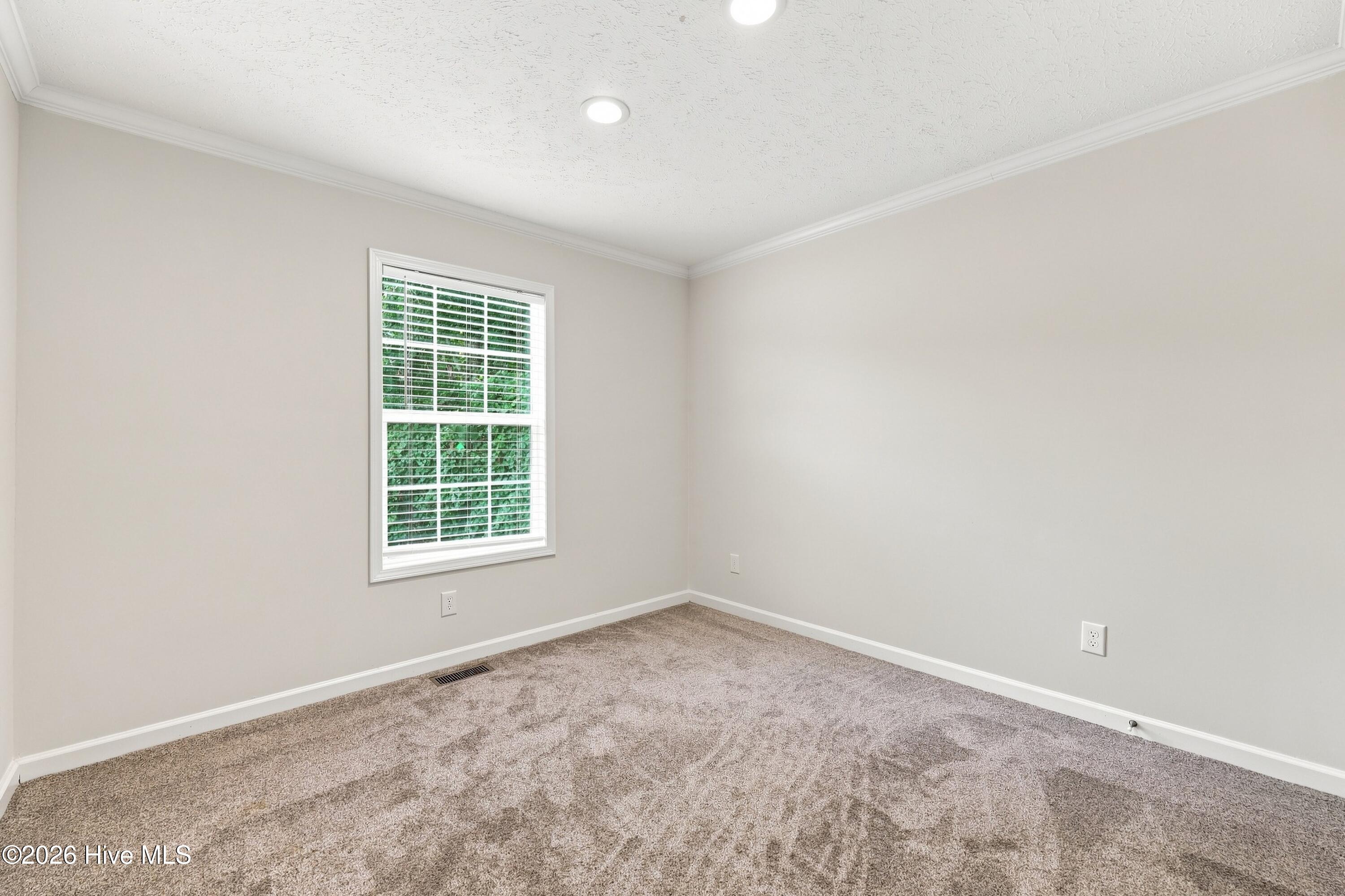 133 Pinewood Drive Property Photo 27