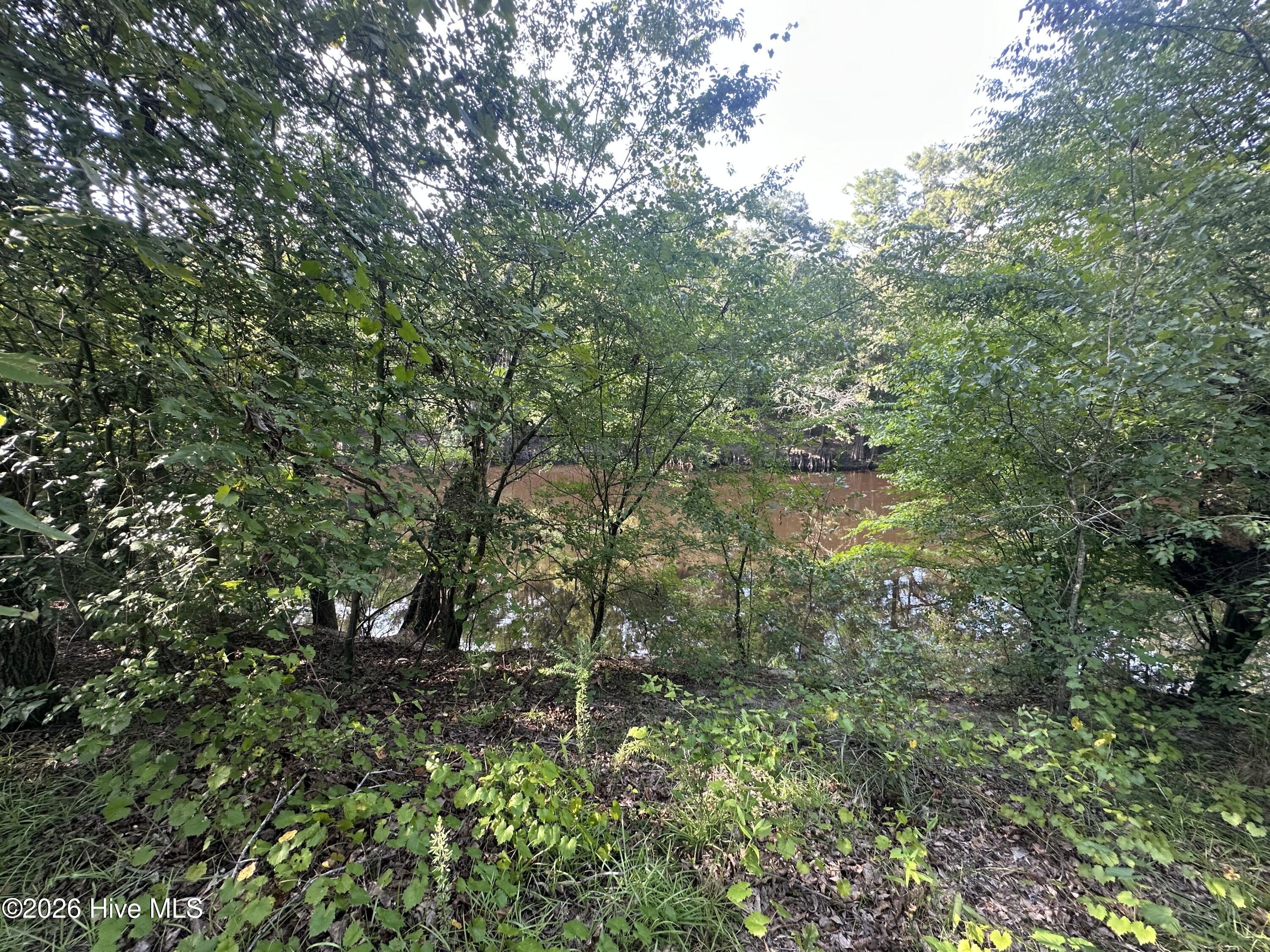 43 Black River Lane Property Photo 14