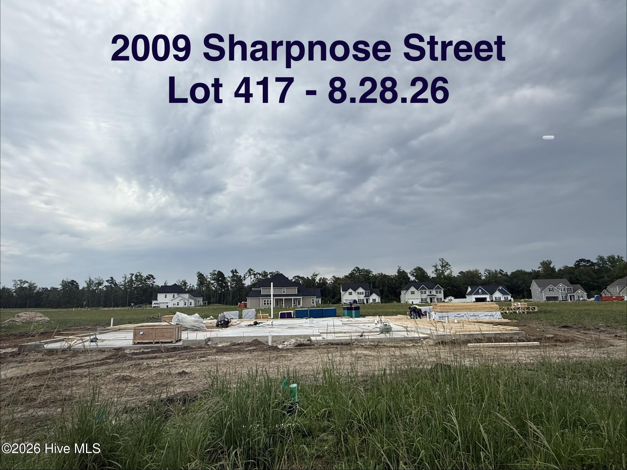 2009 Sharpnose Street Property Photo 3