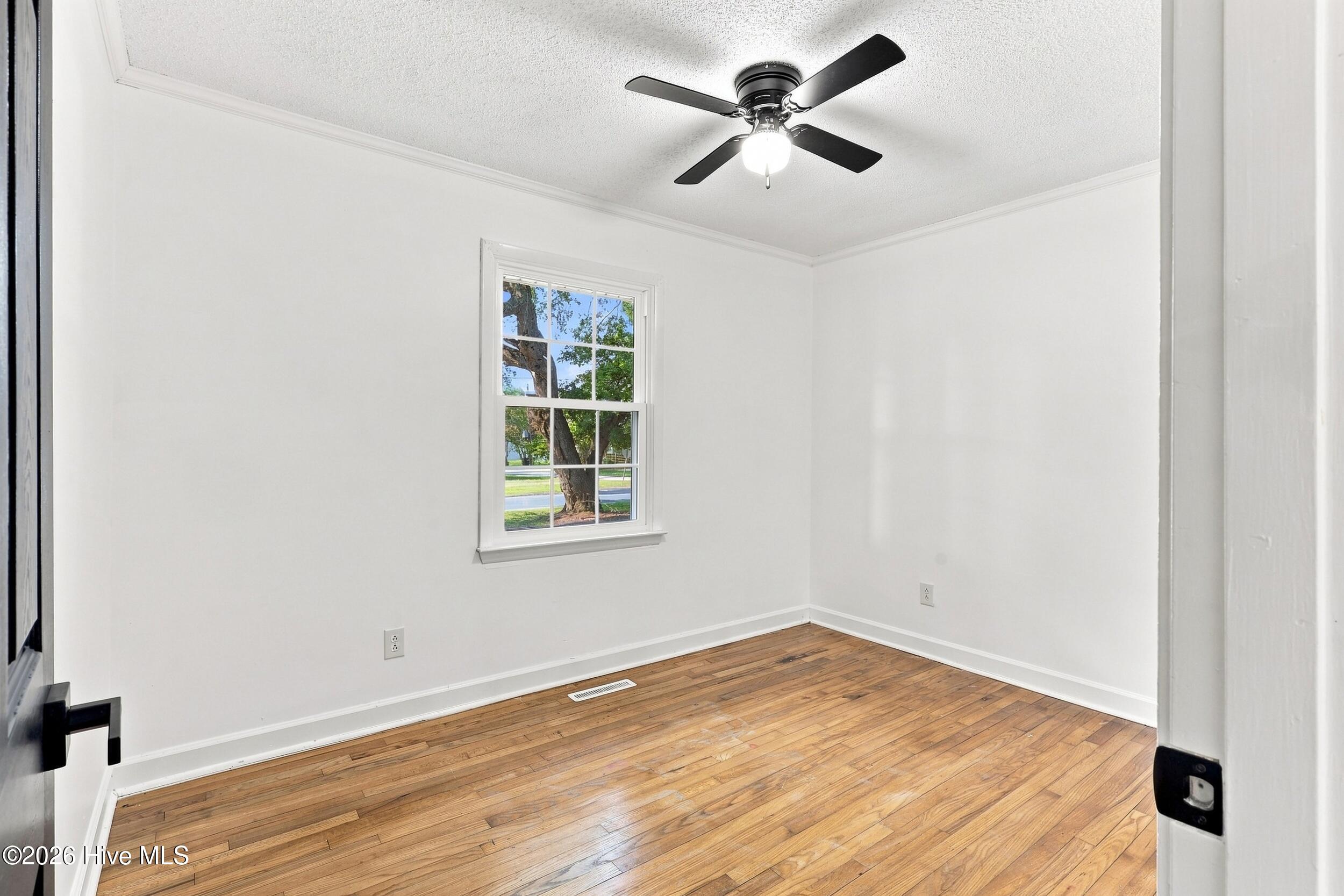 404 W Green Street Property Photo 13