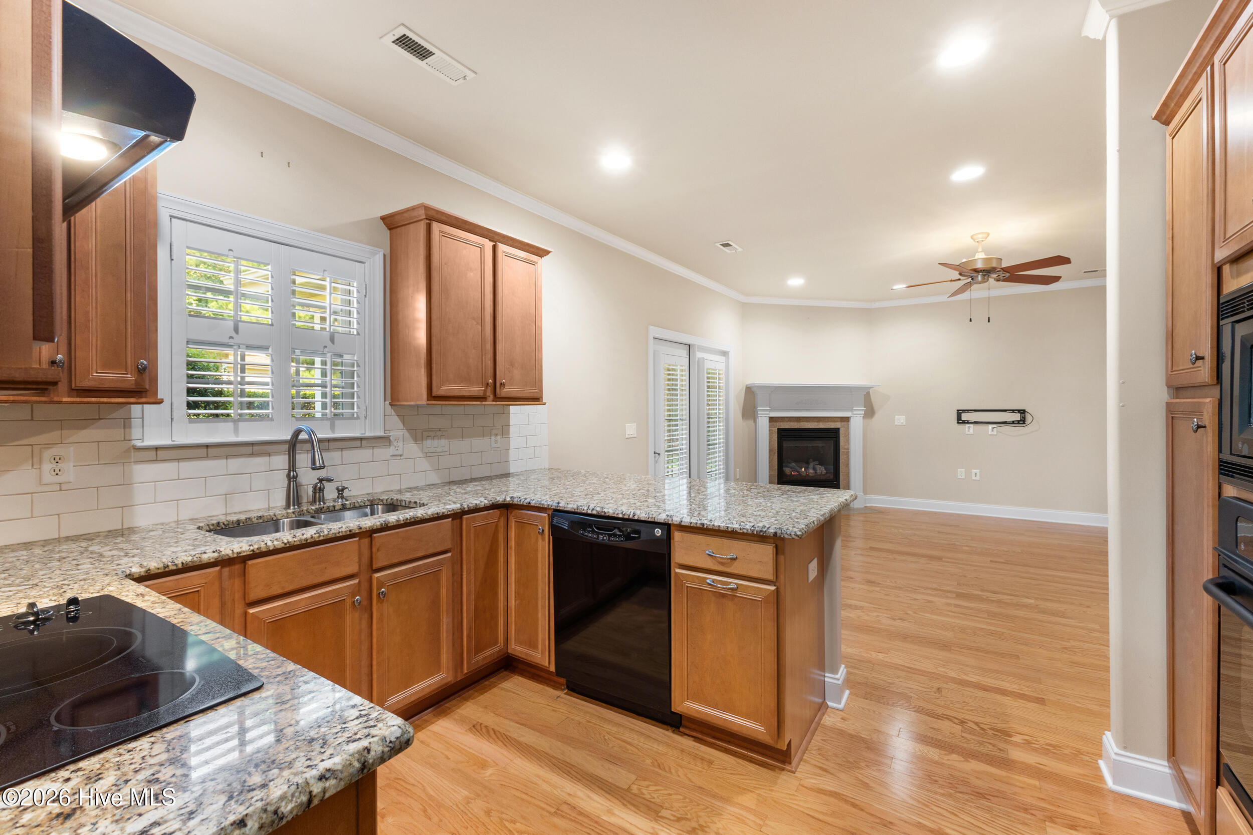 1113 Springfield Drive Property Photo 12