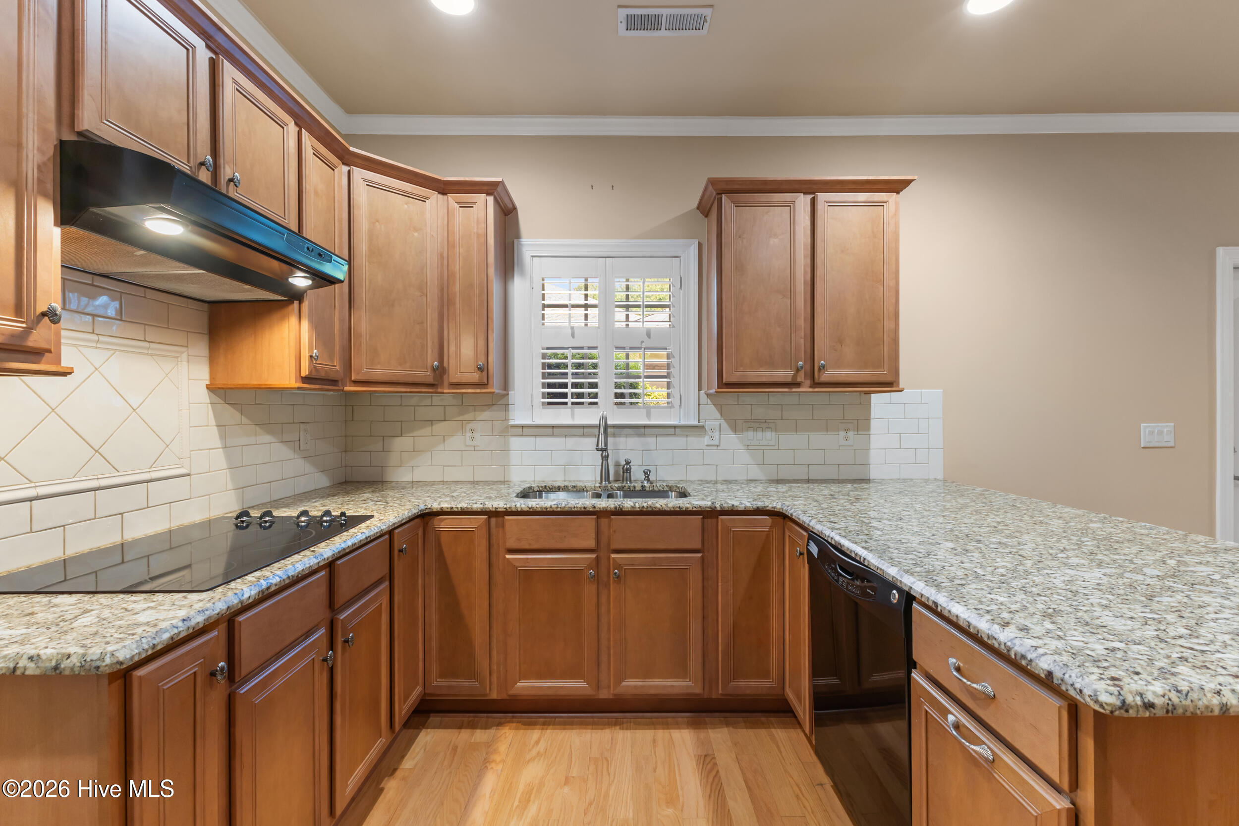 1113 Springfield Drive Property Photo 14