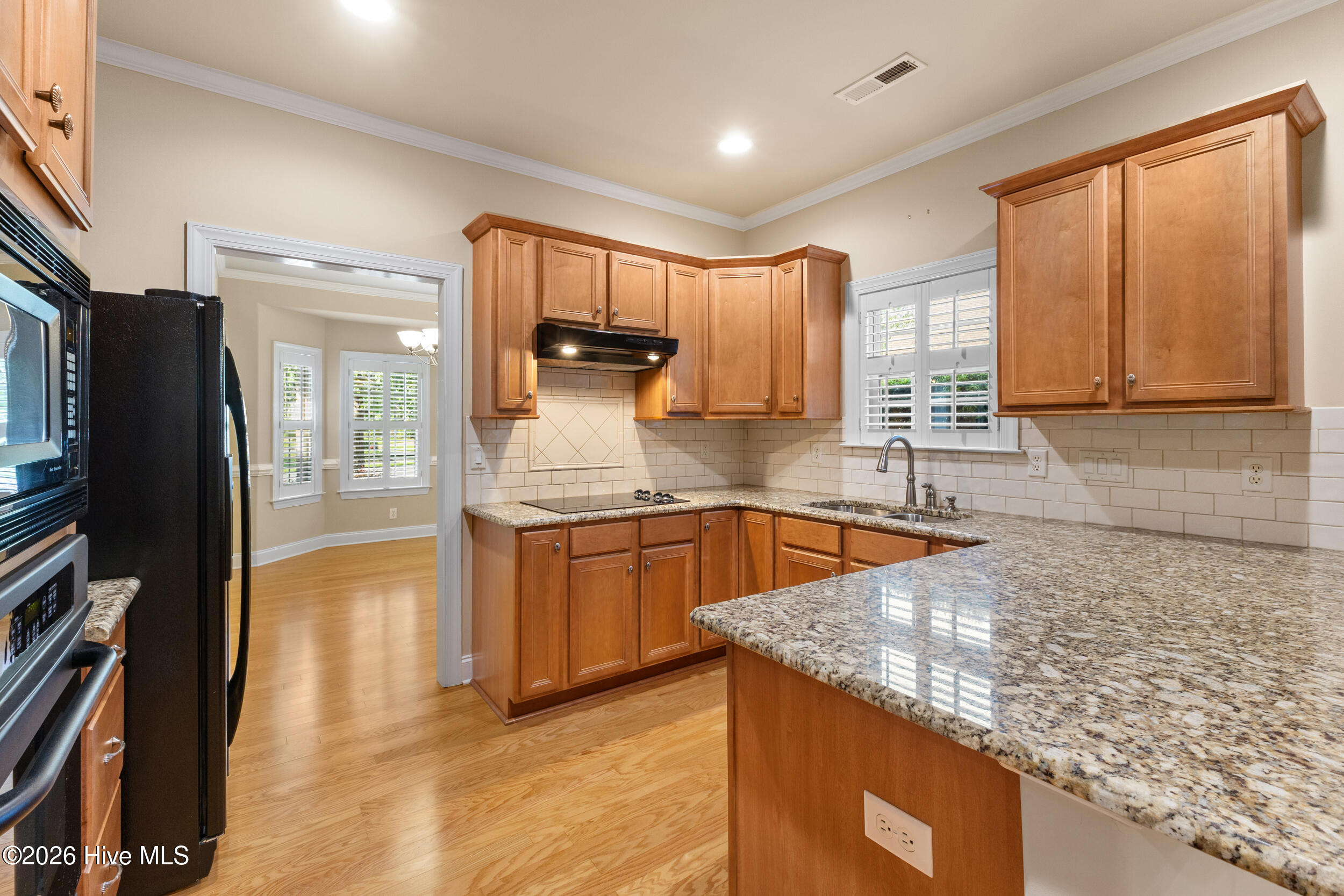 1113 Springfield Drive Property Photo 15