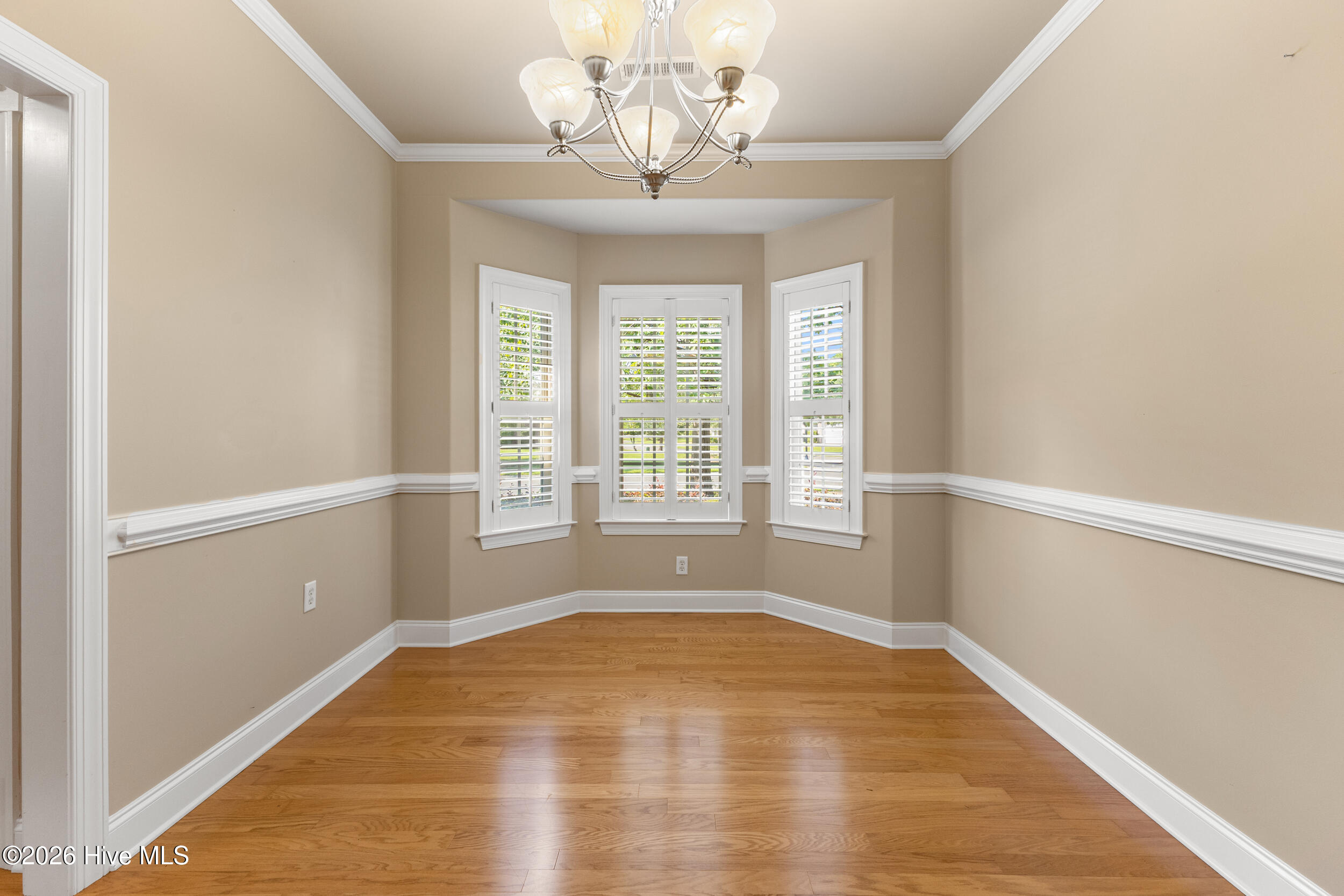 1113 Springfield Drive Property Photo 16