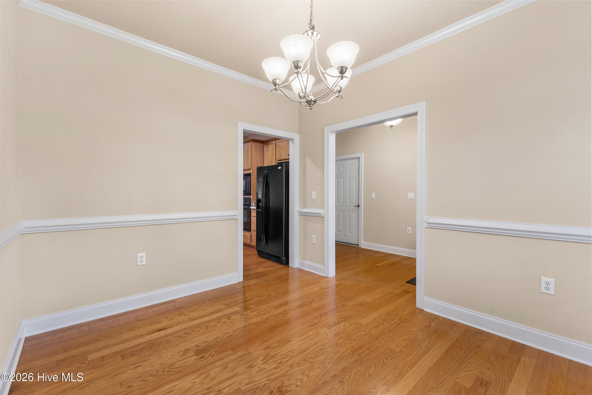 1113 Springfield Drive Property Photo 18