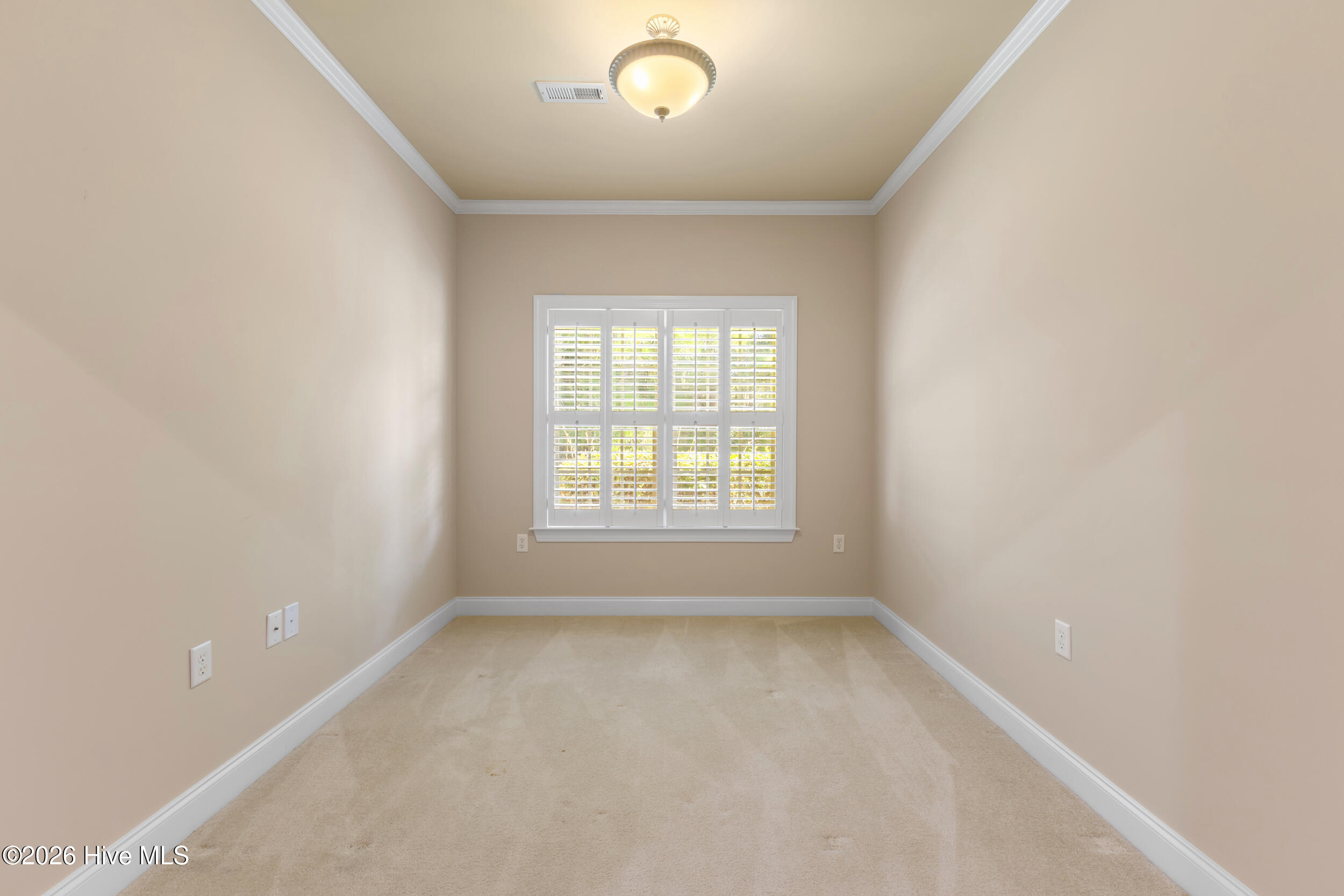 1113 Springfield Drive Property Photo 21