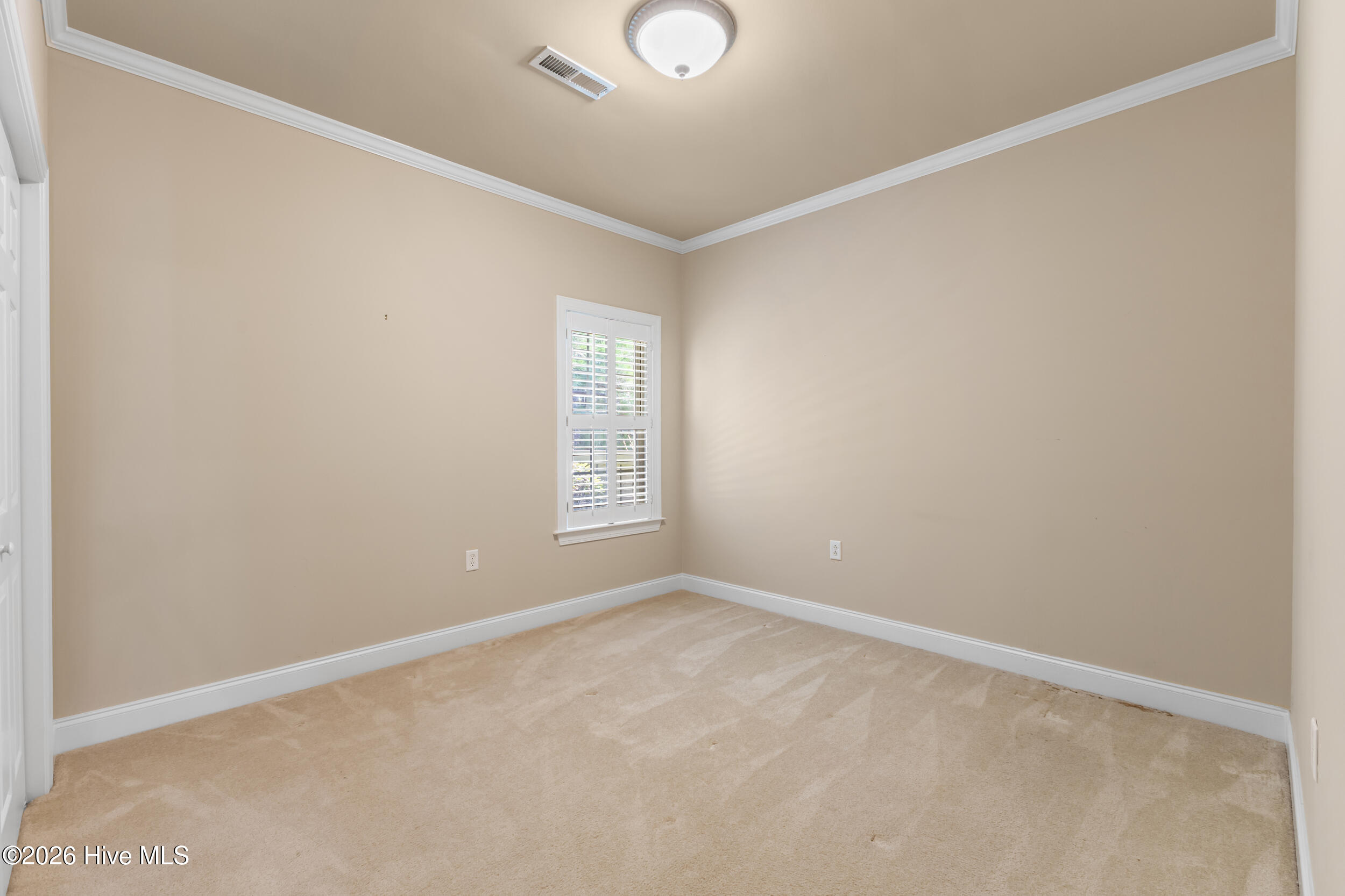 1113 Springfield Drive Property Photo 28