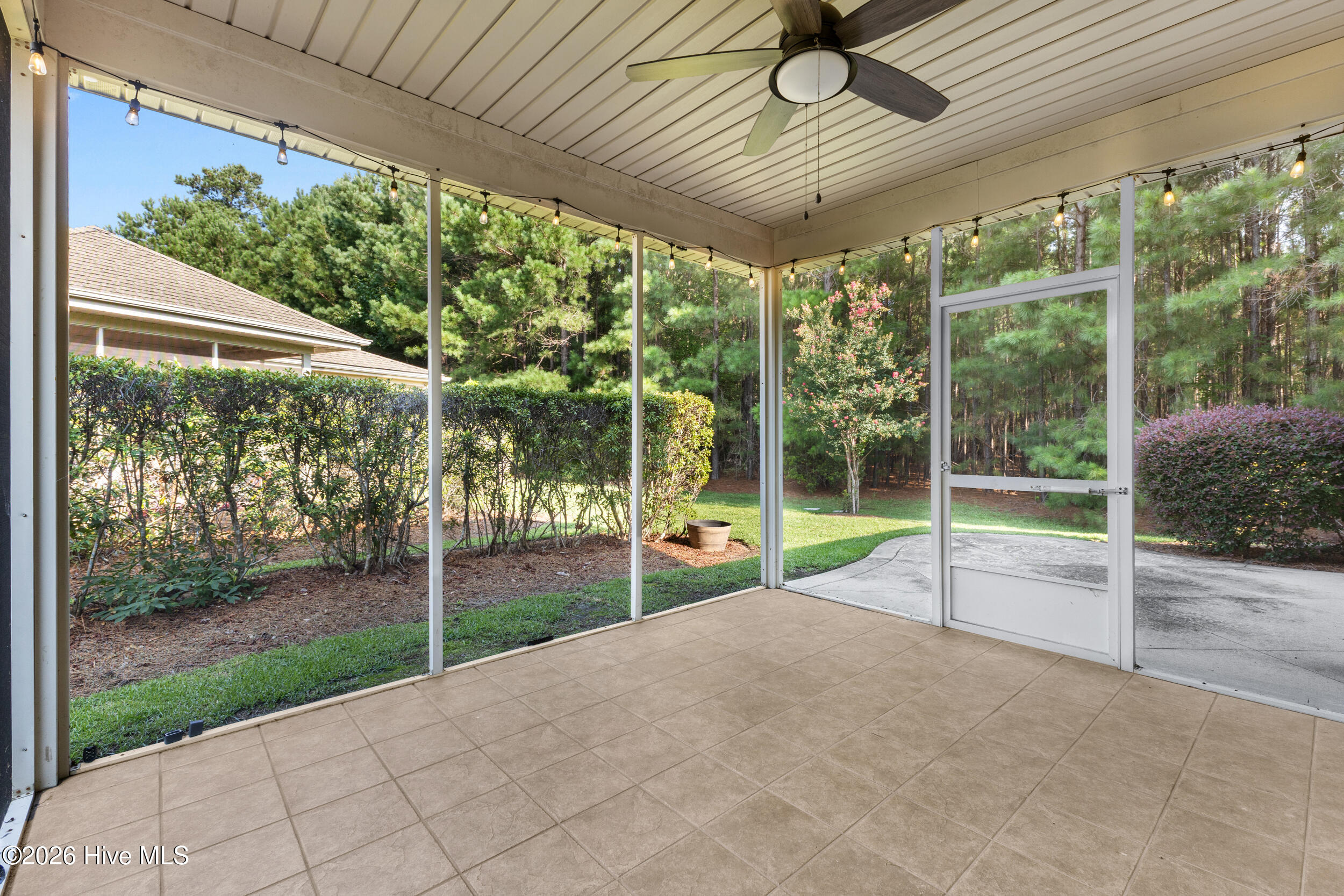 1113 Springfield Drive Property Photo 32