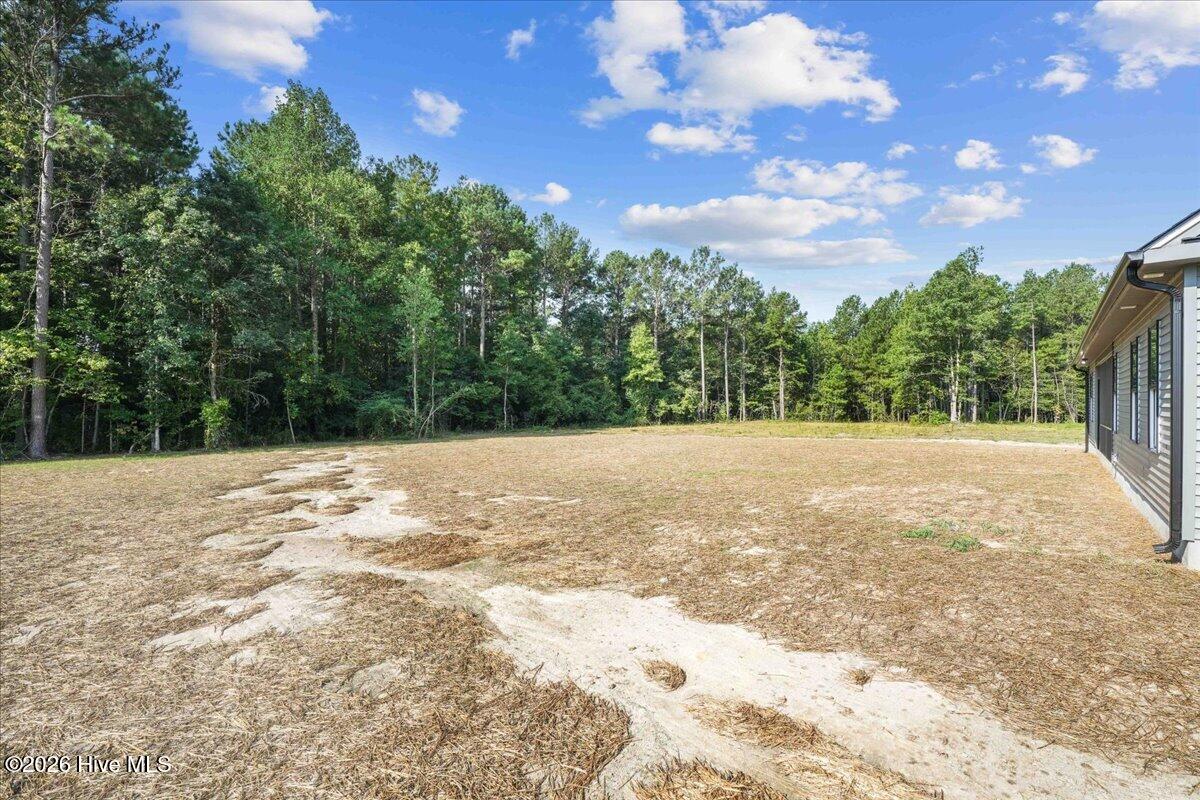 81 Birchtop Circle Property Photo 59