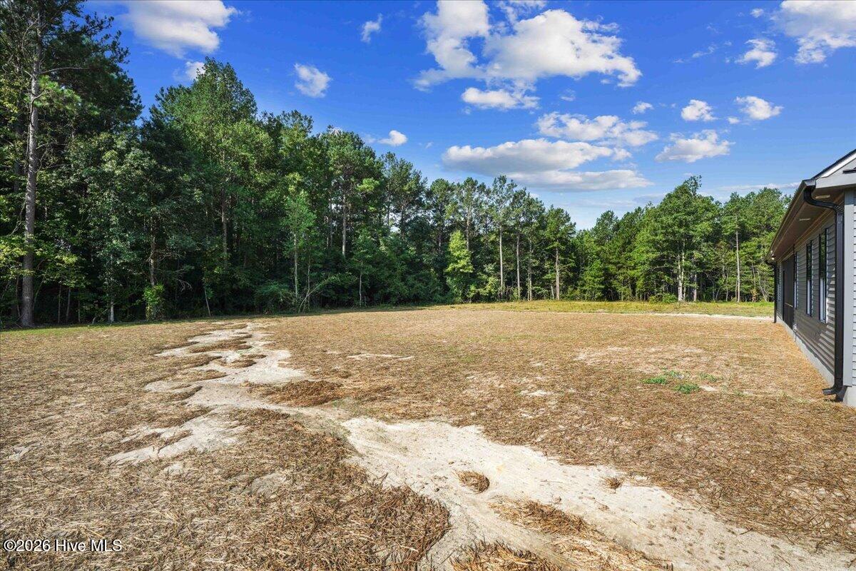 81 Birchtop Circle Property Photo 59