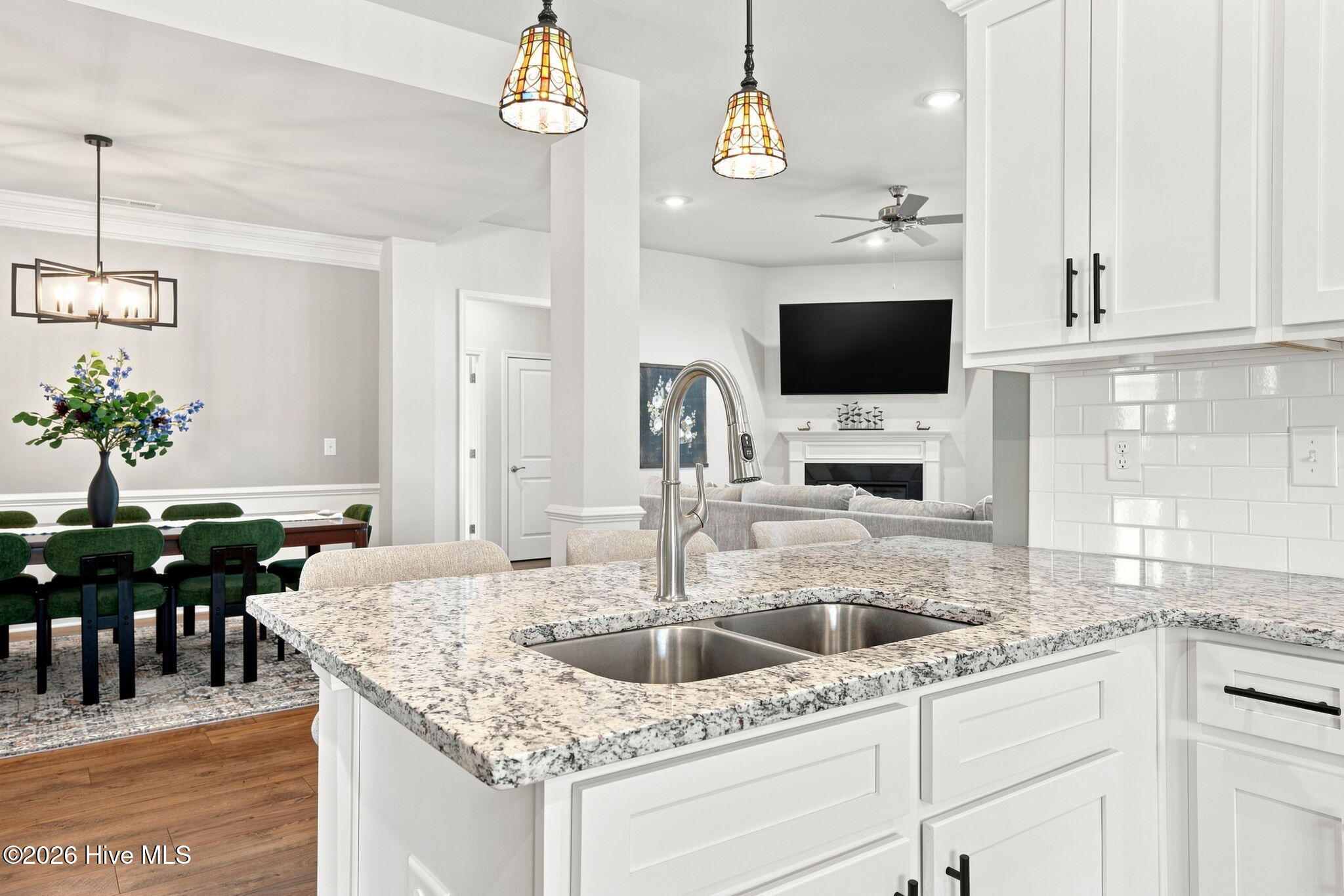1001 Dynamic One Drive Property Photo 10