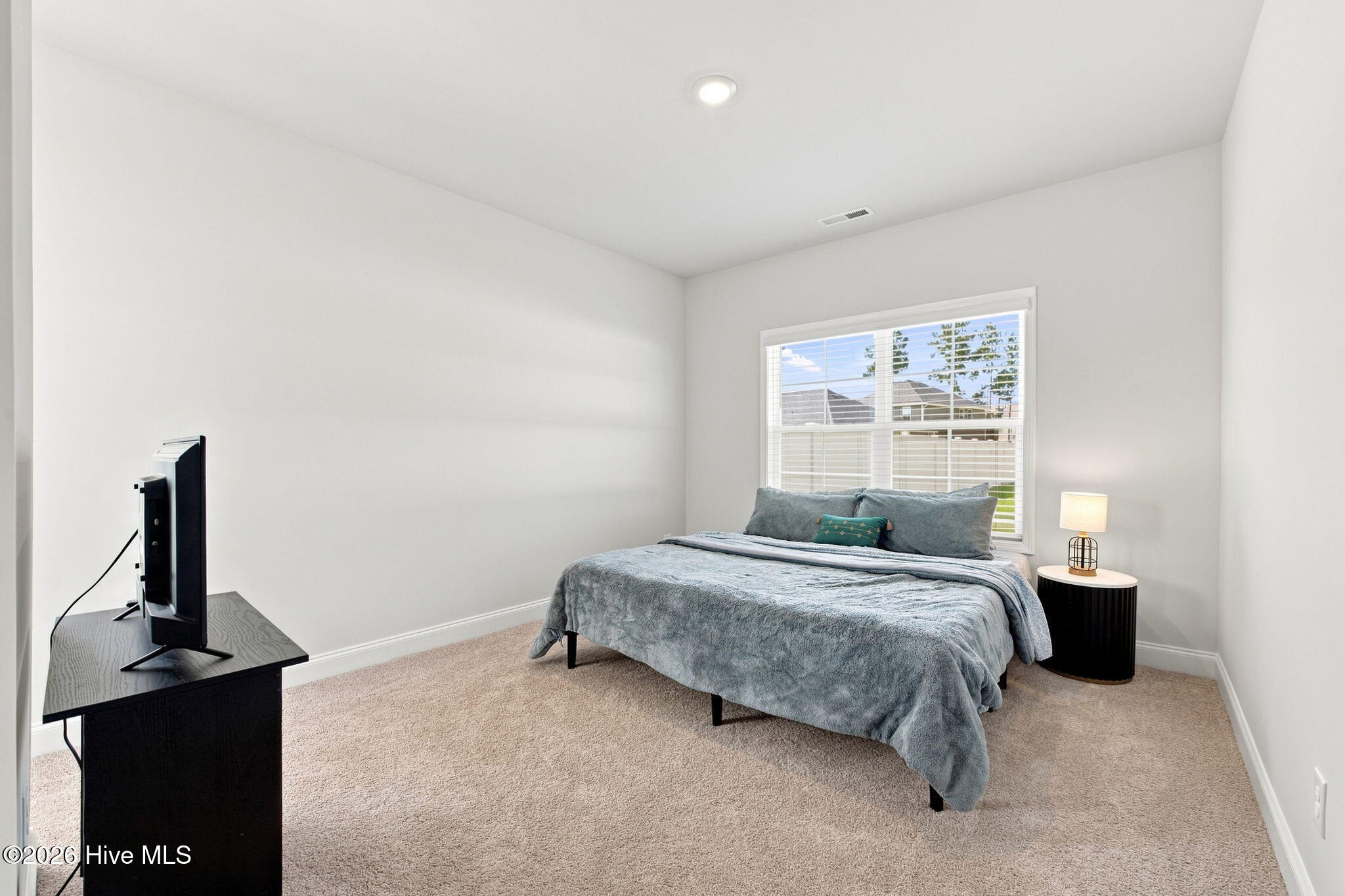 1001 Dynamic One Drive Property Photo 20