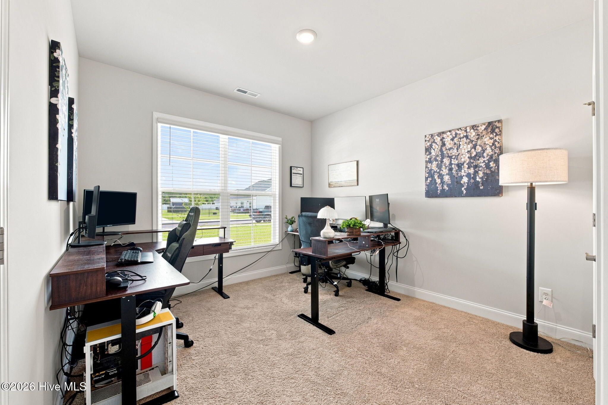 1001 Dynamic One Drive Property Photo 24