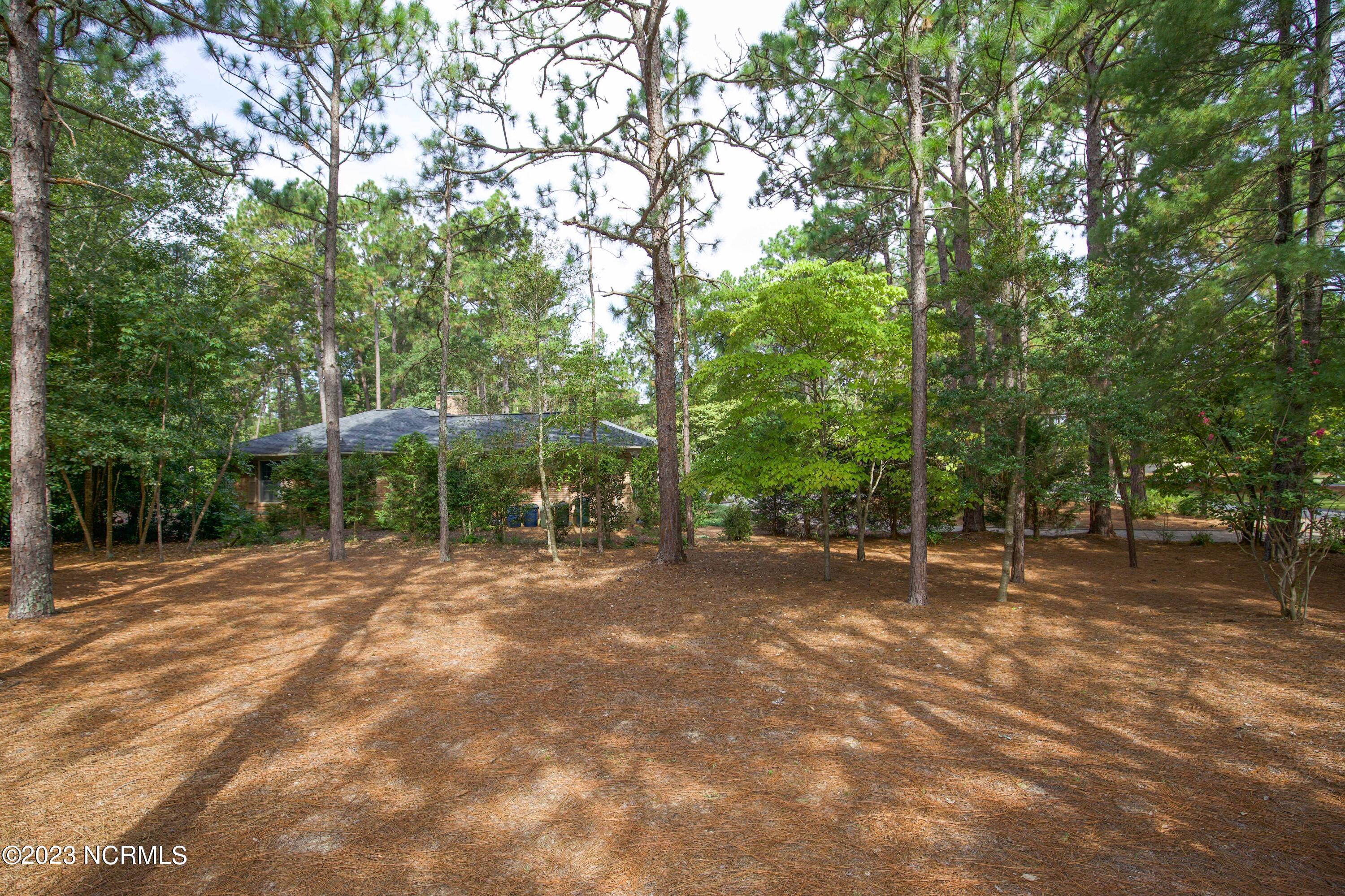 1 Bogie Drive Property Photo 56