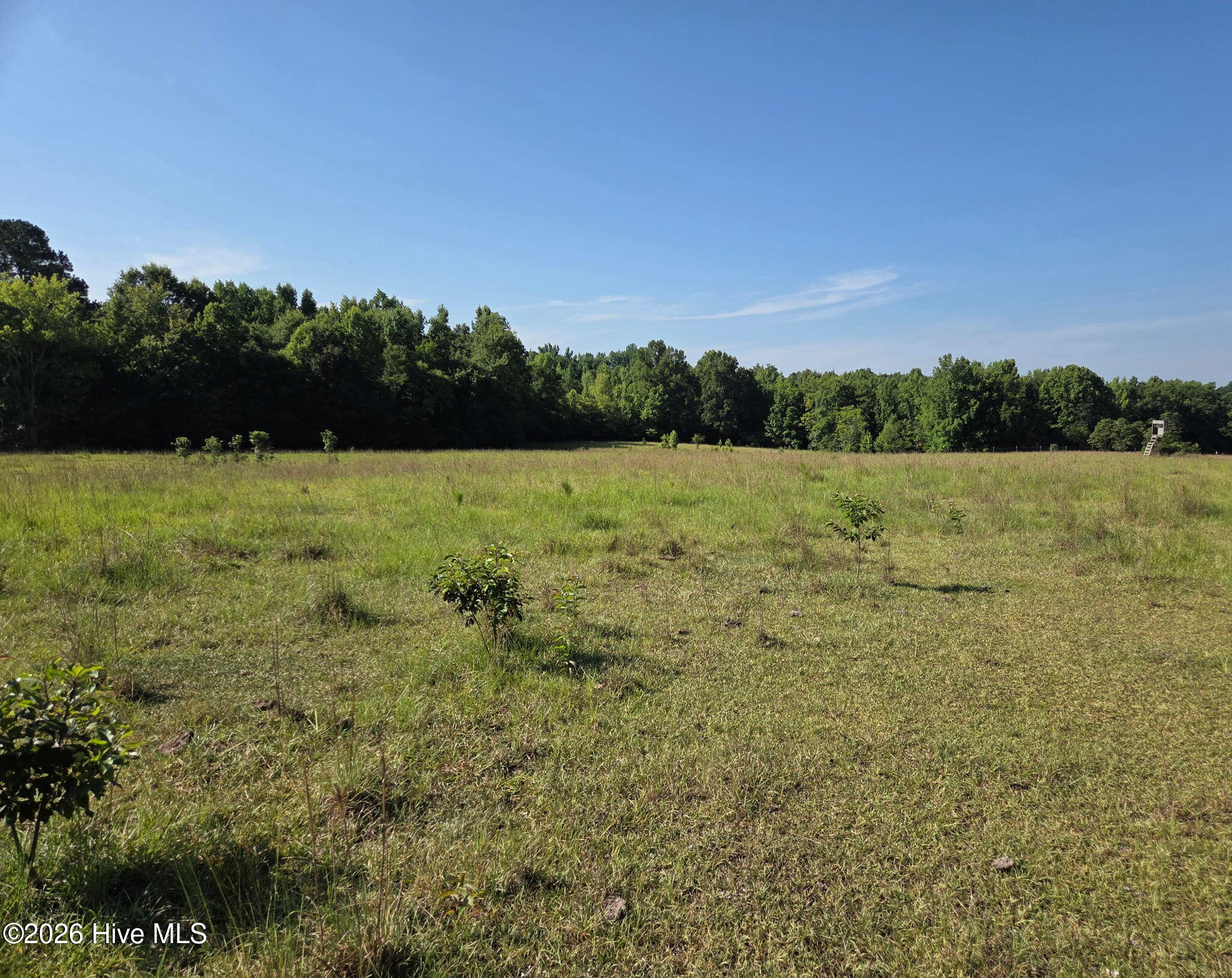 0 Rocky Branch Church Road Property Photo 1