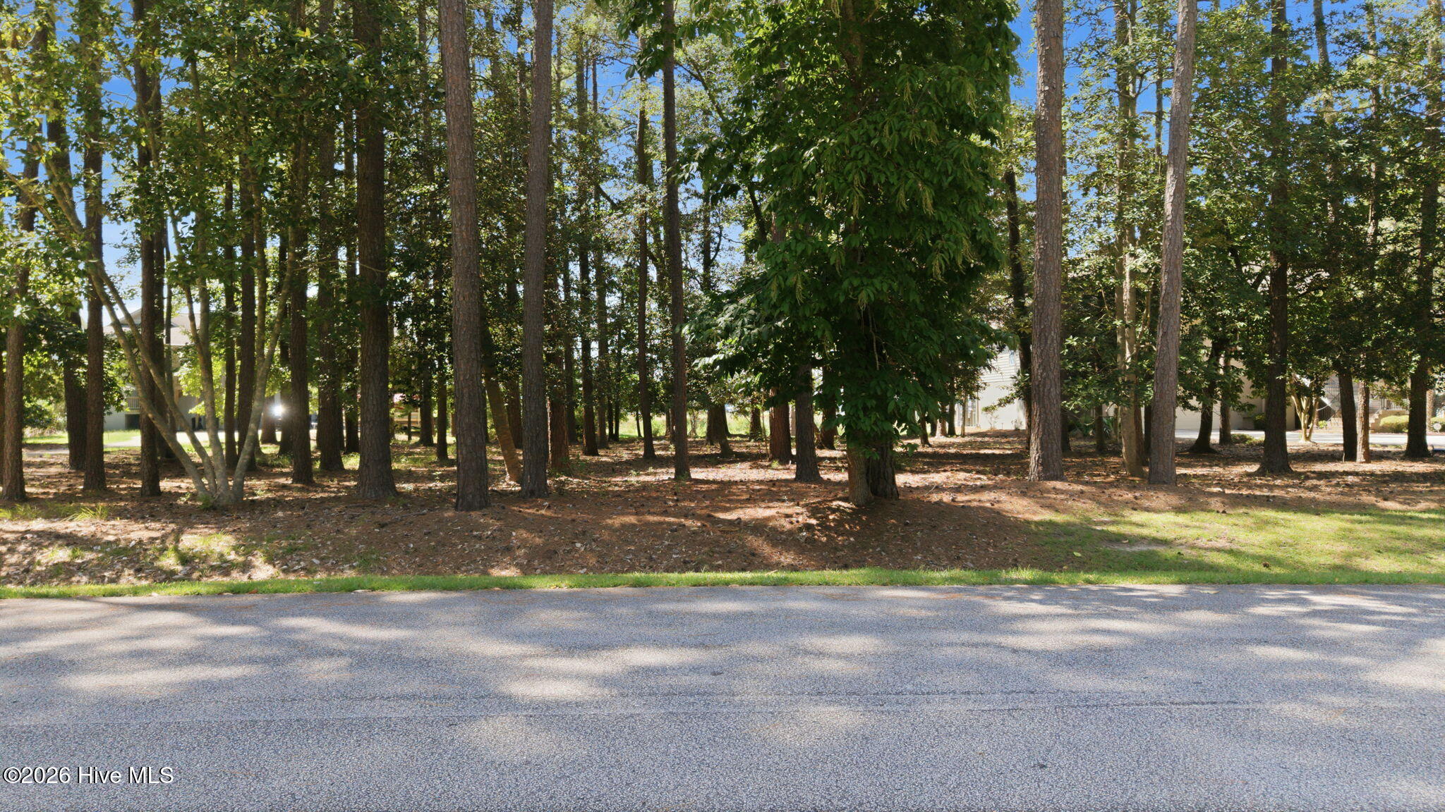Lot 108 Live Oak Lane Property Photo 3