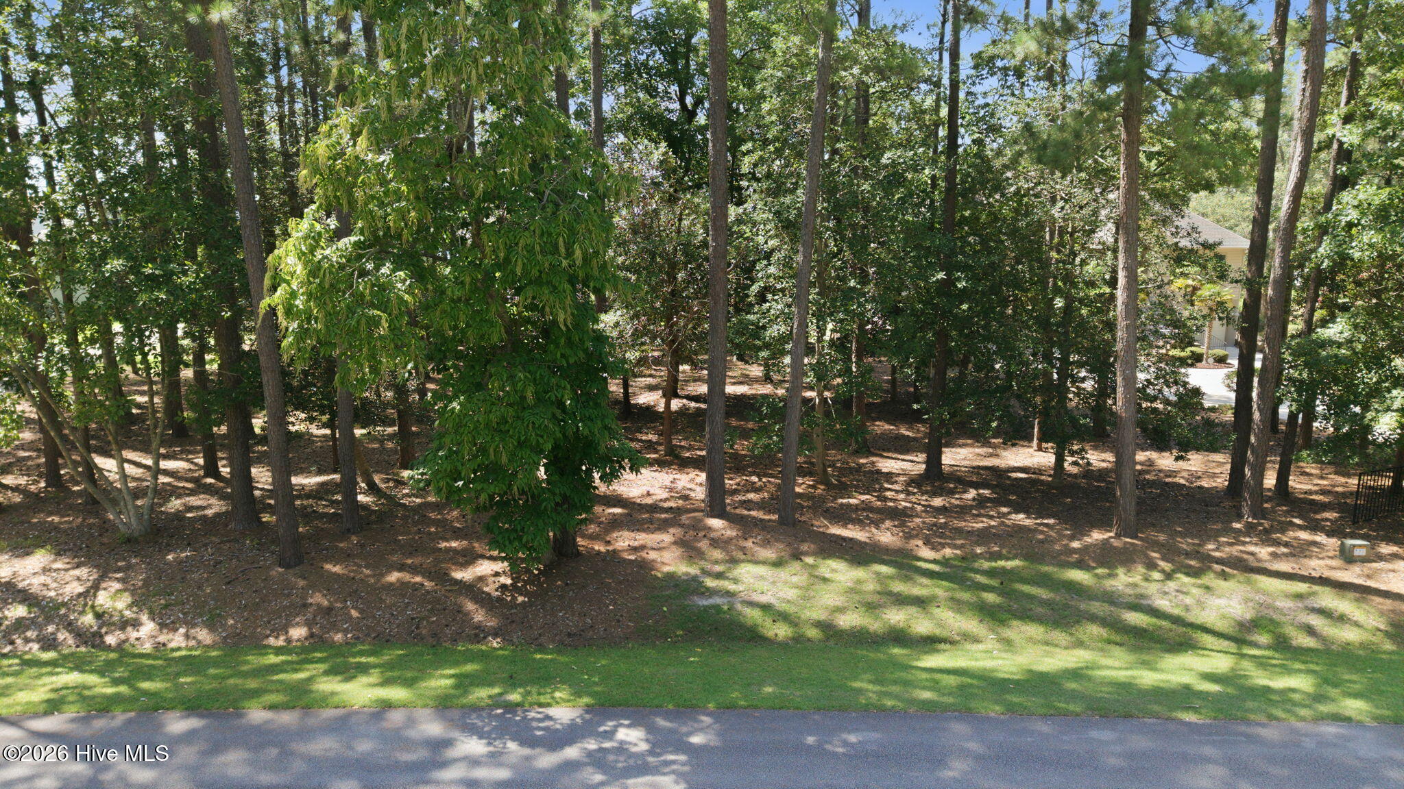 Lot 108 Live Oak Lane Property Photo 7
