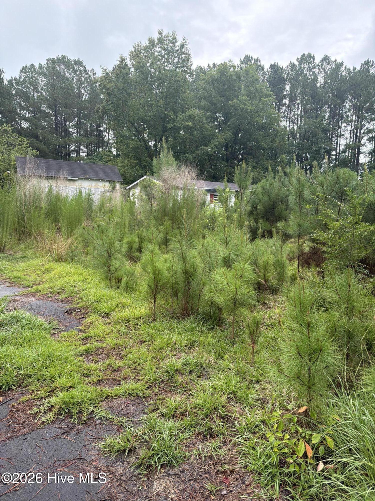 120 Deer Tract Drive Property Photo 2