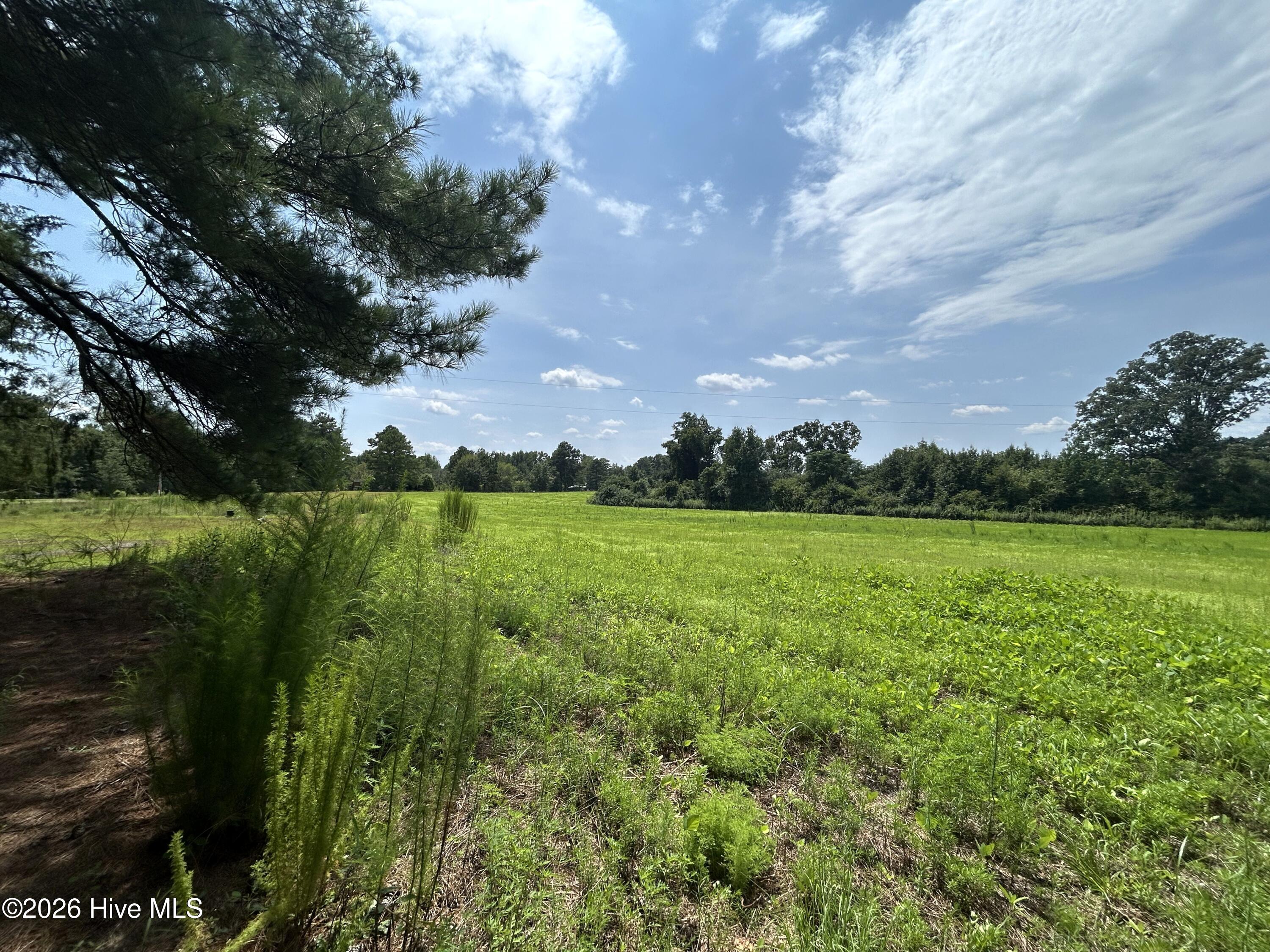 684 Pilson Road Property Photo 11
