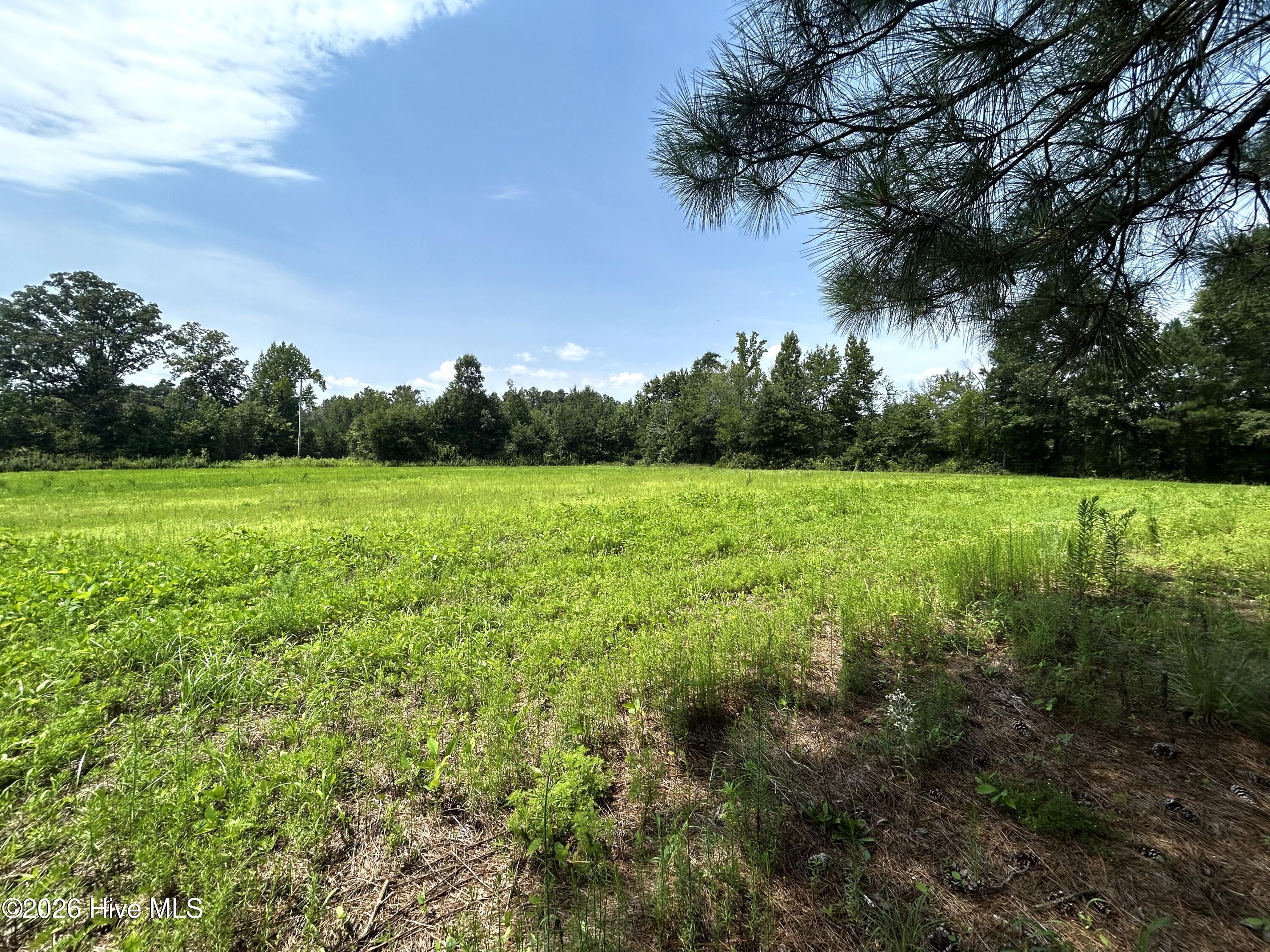 684 Pilson Road Property Photo 12