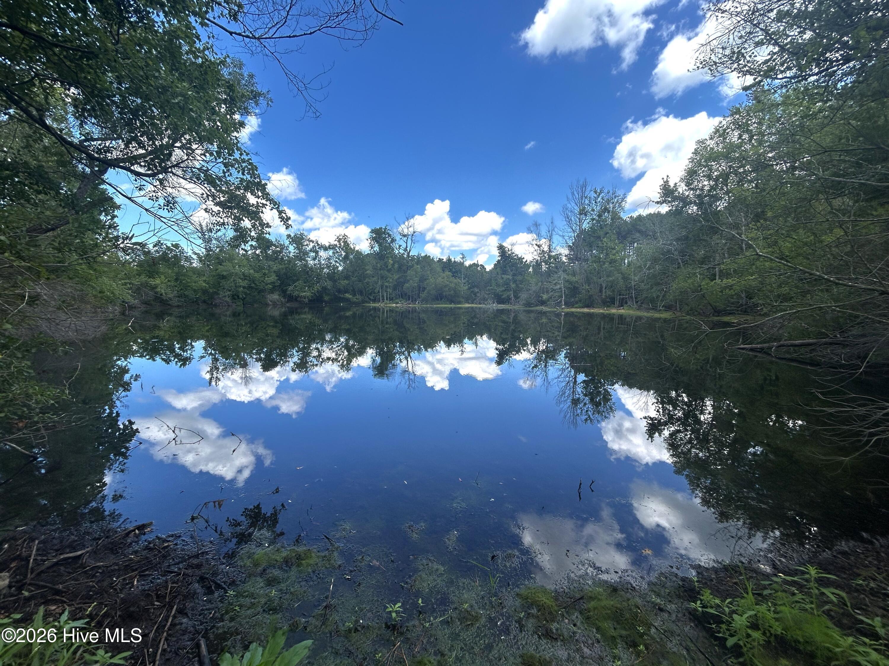 684 Pilson Road Property Photo 16