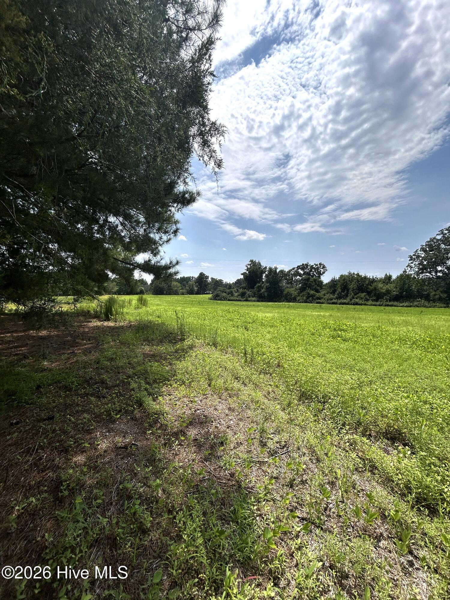 684 Pilson Road Property Photo 19