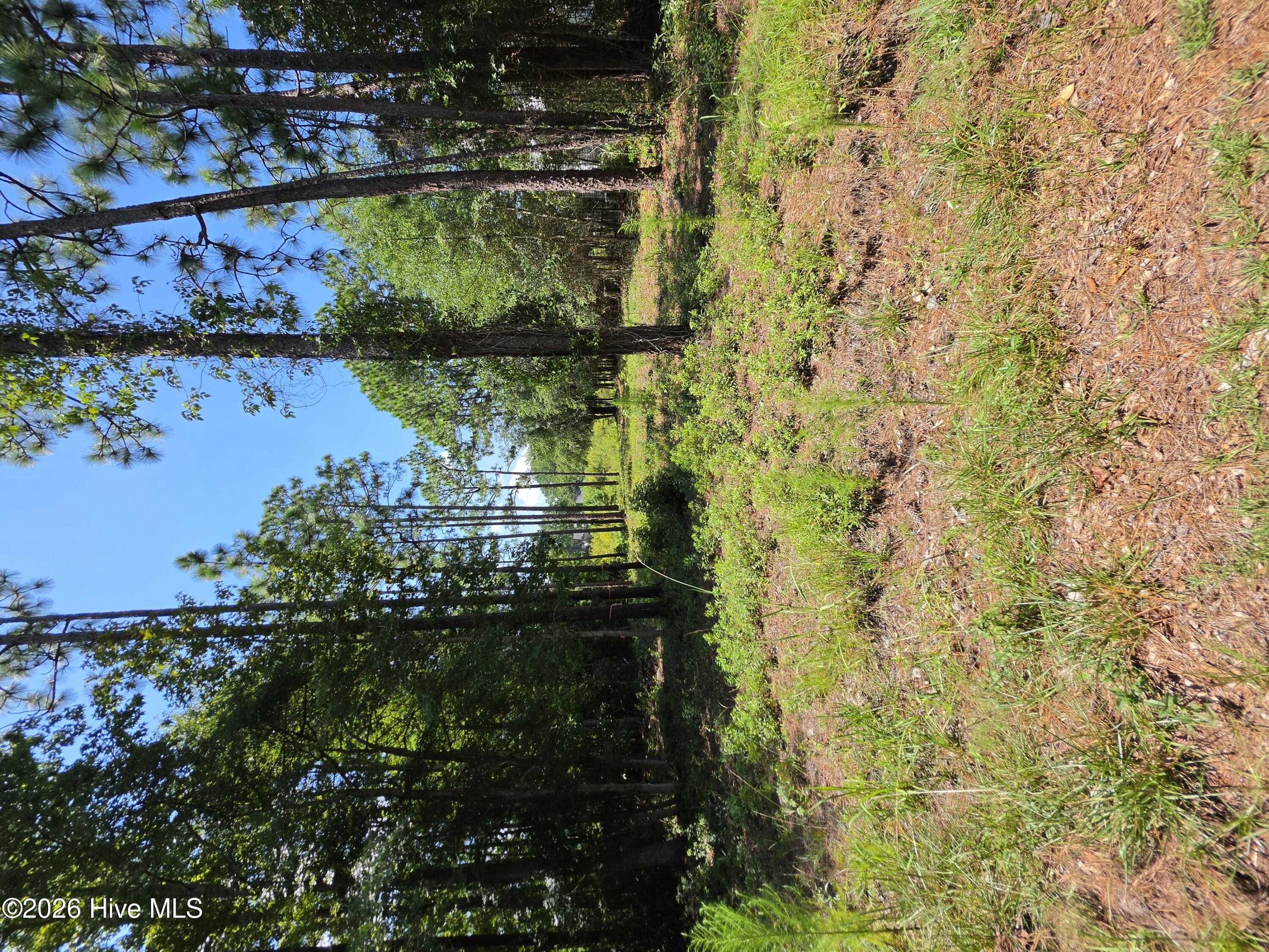 44 Pine Shores Drive Property Photo 1