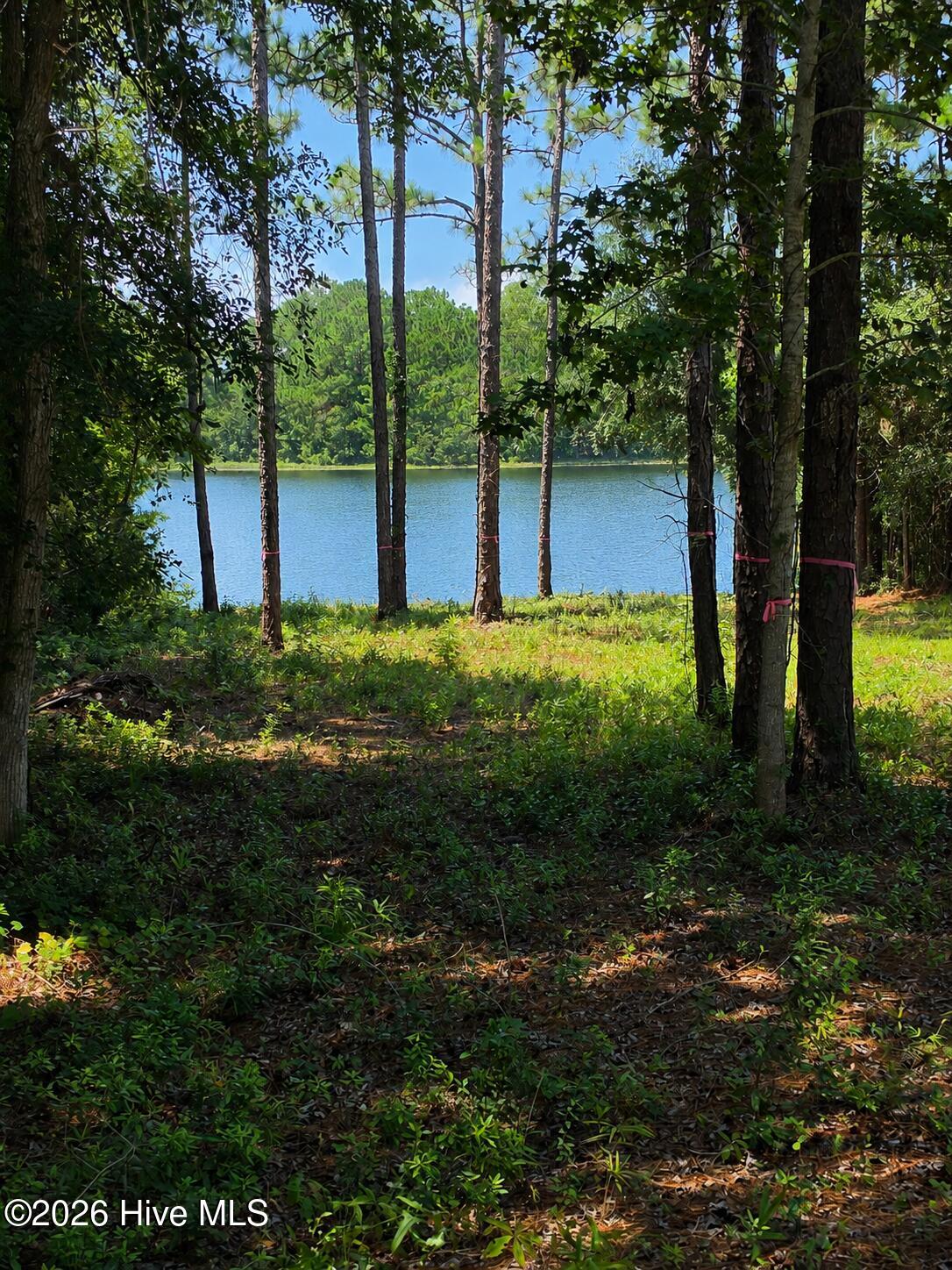 44 Pine Shores Drive Property Photo 2