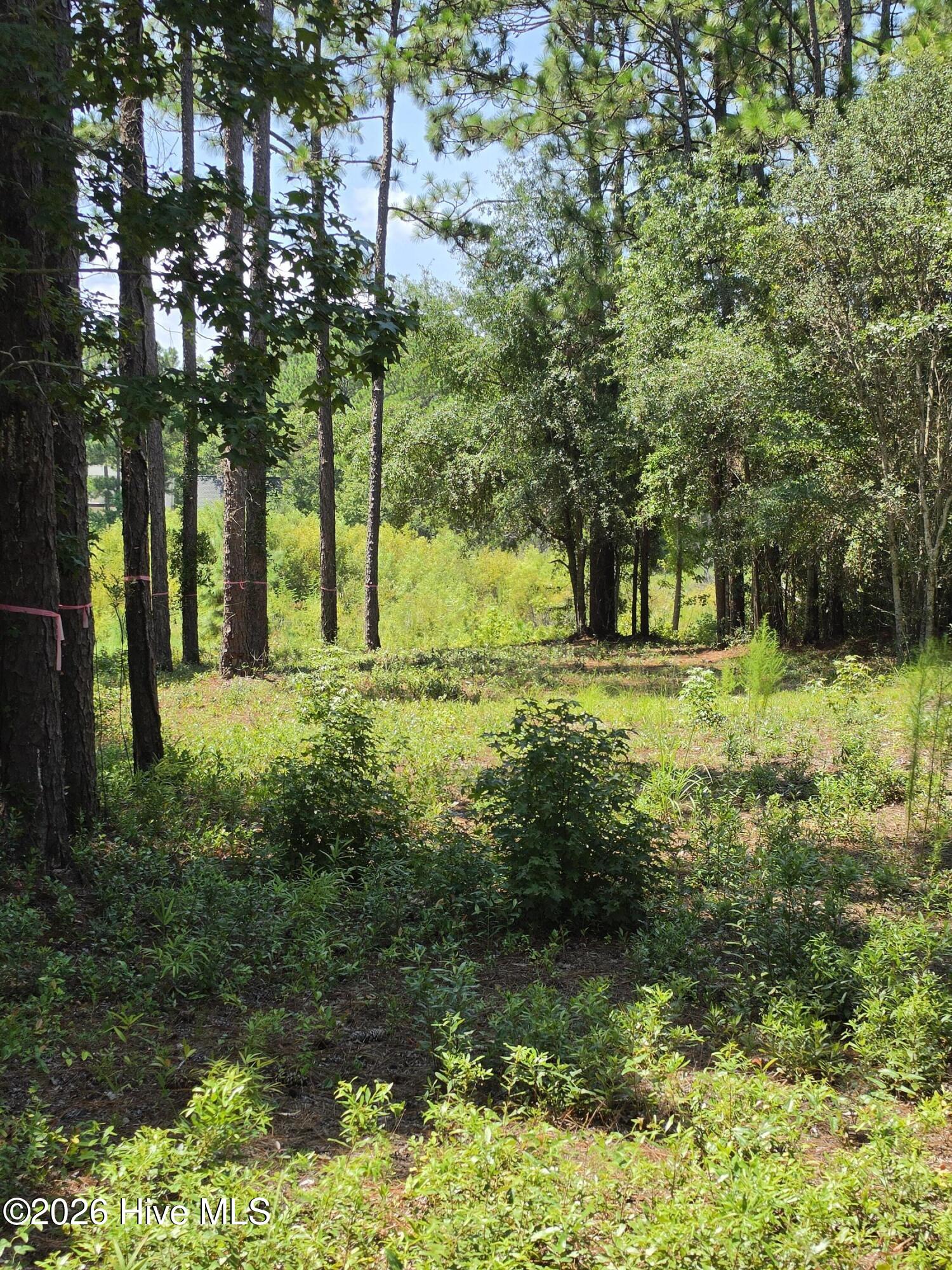 44 Pine Shores Drive Property Photo 8