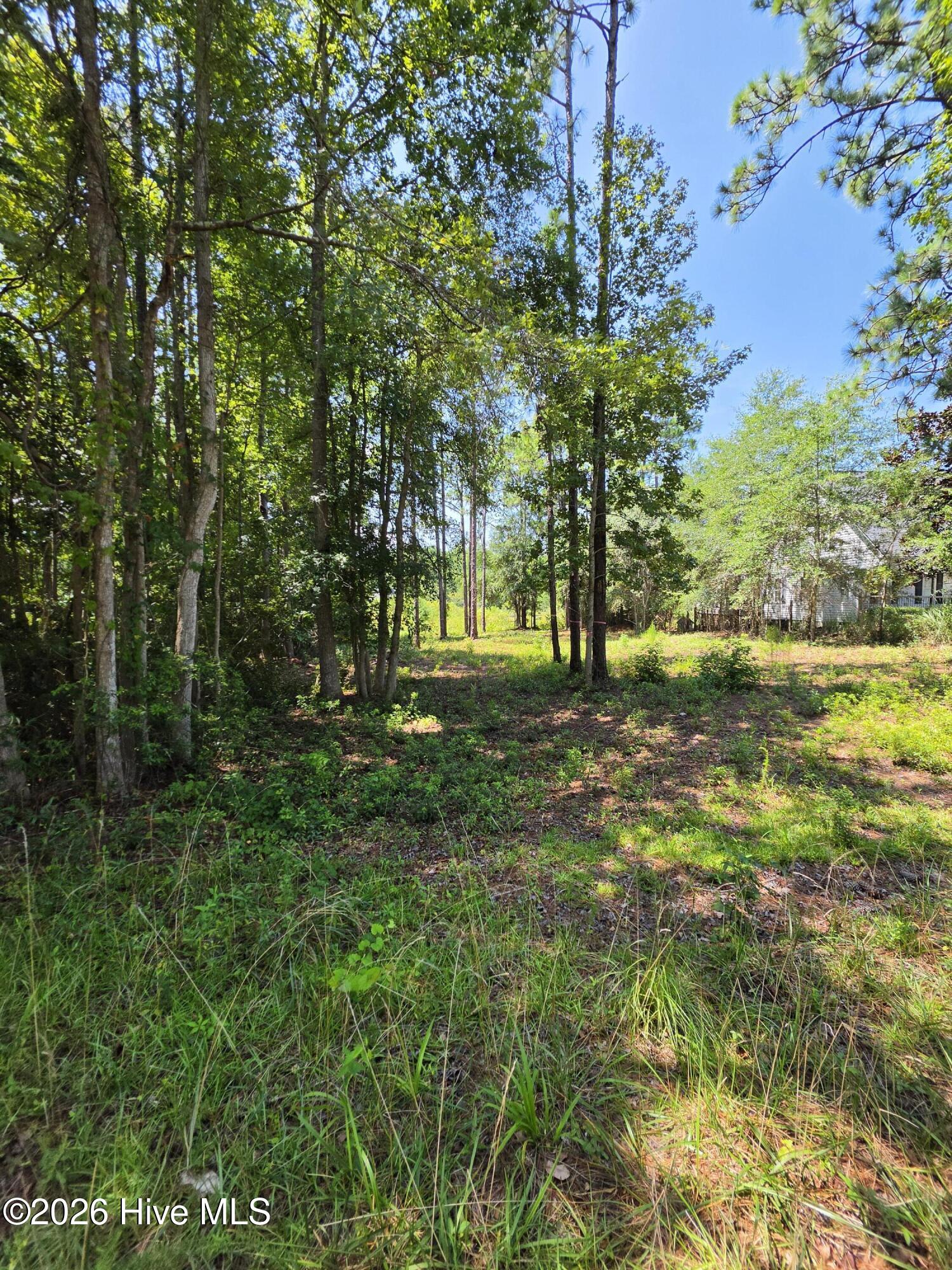44 Pine Shores Drive Property Photo 9