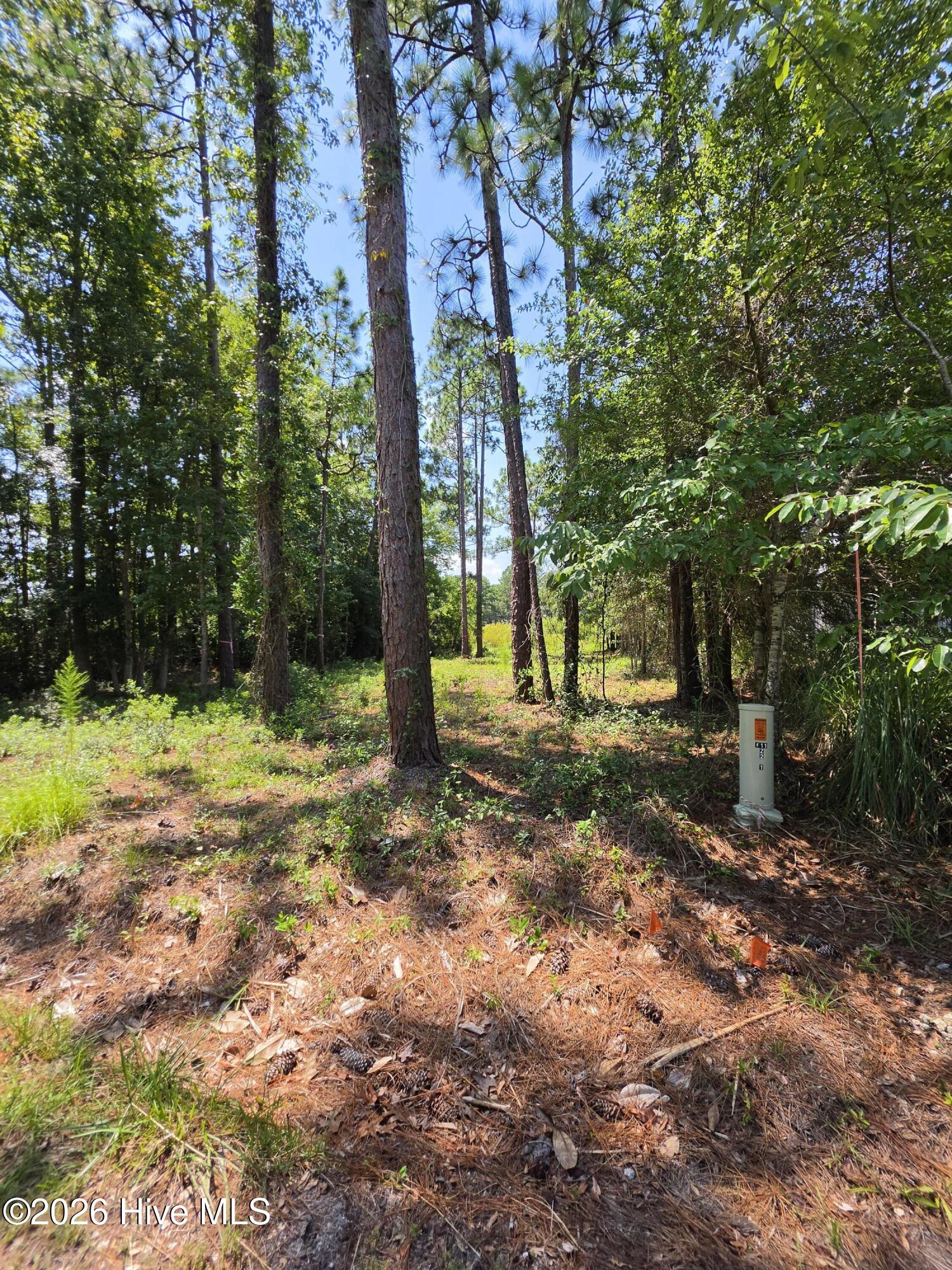 44 Pine Shores Drive Property Photo 10