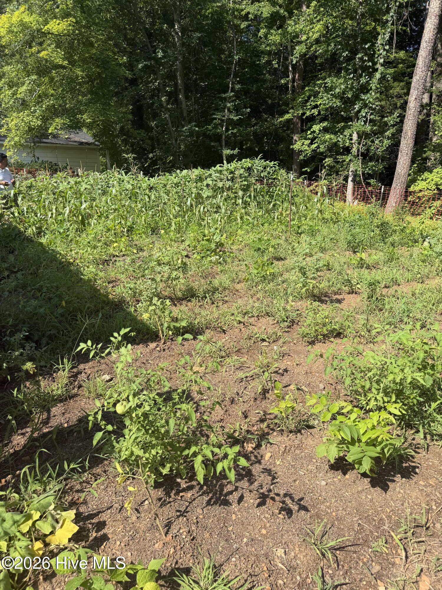 311 Greentree Drive Property Photo 4