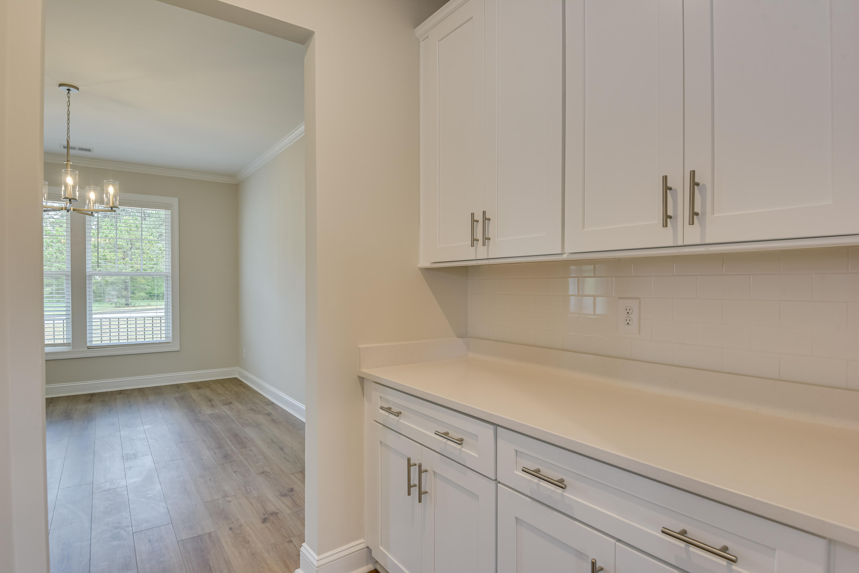 281 Eutaw Springs Trail Property Photo 10