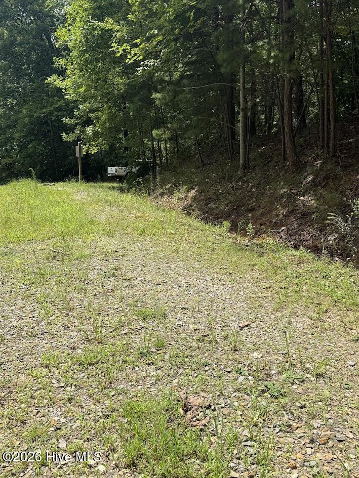 Lot #46 Pine Cove Lane Property Photo 3