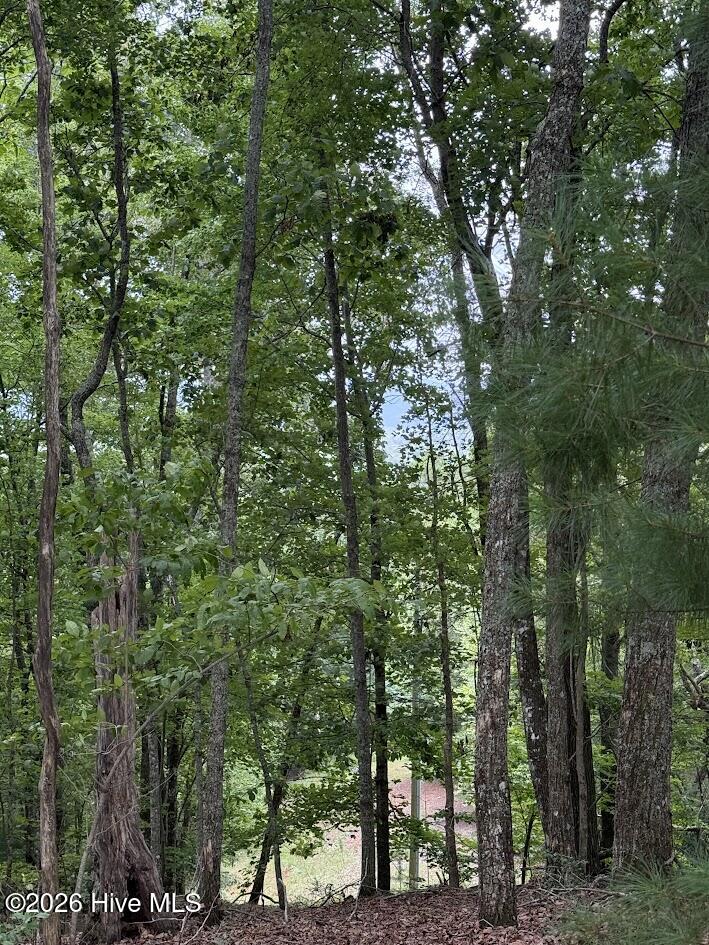 Lot #46 Pine Cove Lane Property Photo 4
