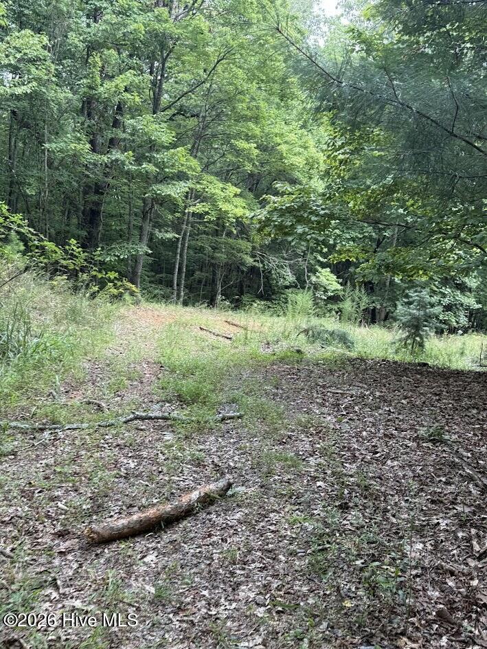 Lot #46 Pine Cove Lane Property Photo 5