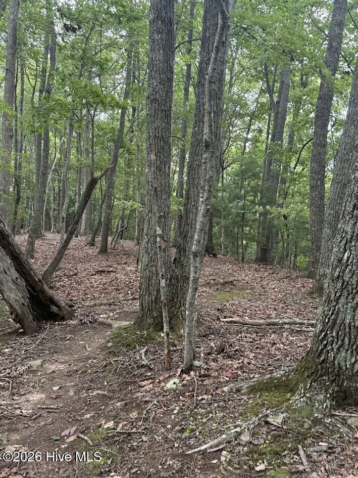 Lot #46 Pine Cove Lane Property Photo 6