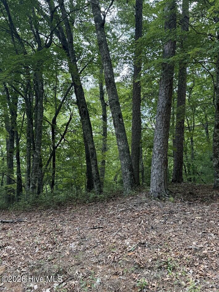 Lot #46 Pine Cove Lane Property Photo 7
