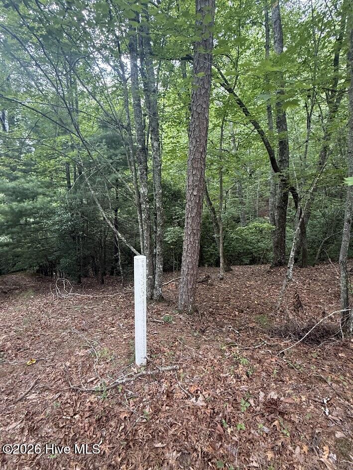 Lot #46 Pine Cove Lane Property Photo 8