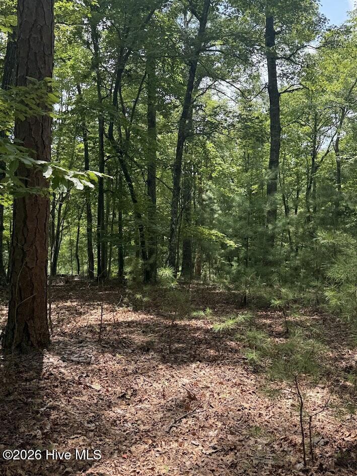 Lot #46 Pine Cove Lane Property Photo 9