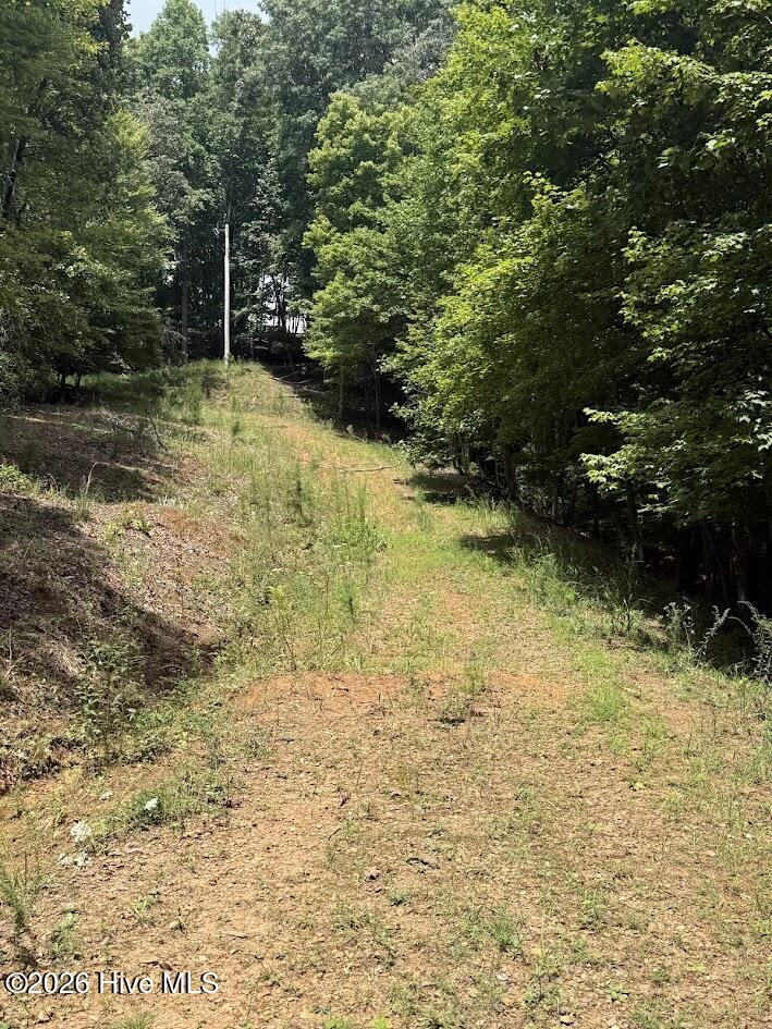 Lot #46 Pine Cove Lane Property Photo 10