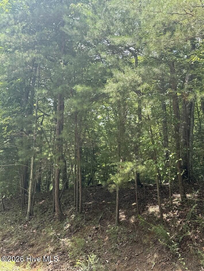 Lot #46 Pine Cove Lane Property Photo 11