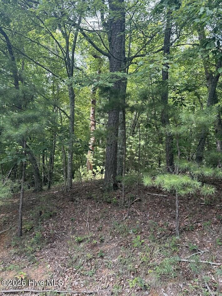 Lot #46 Pine Cove Lane Property Photo 12